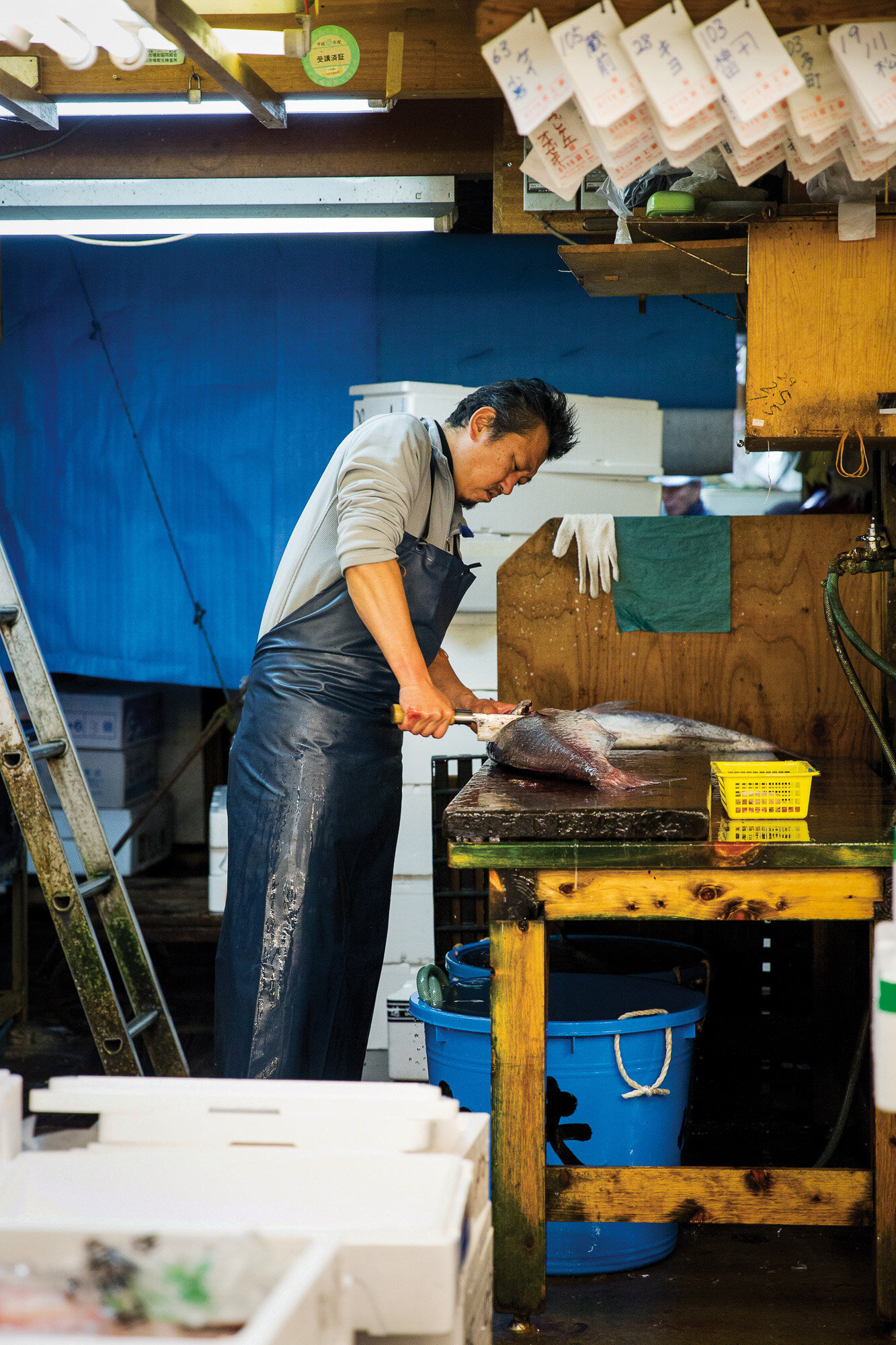   Tsukiji, Japan  