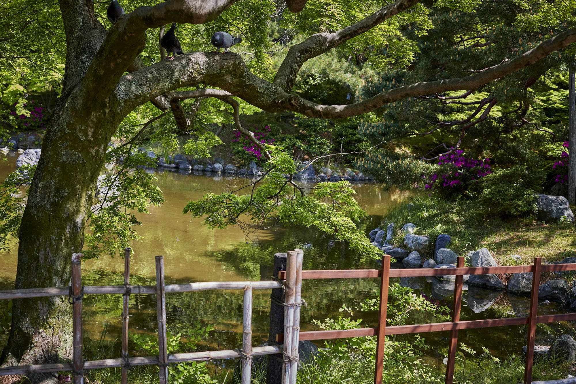   Kyoto, Japan  