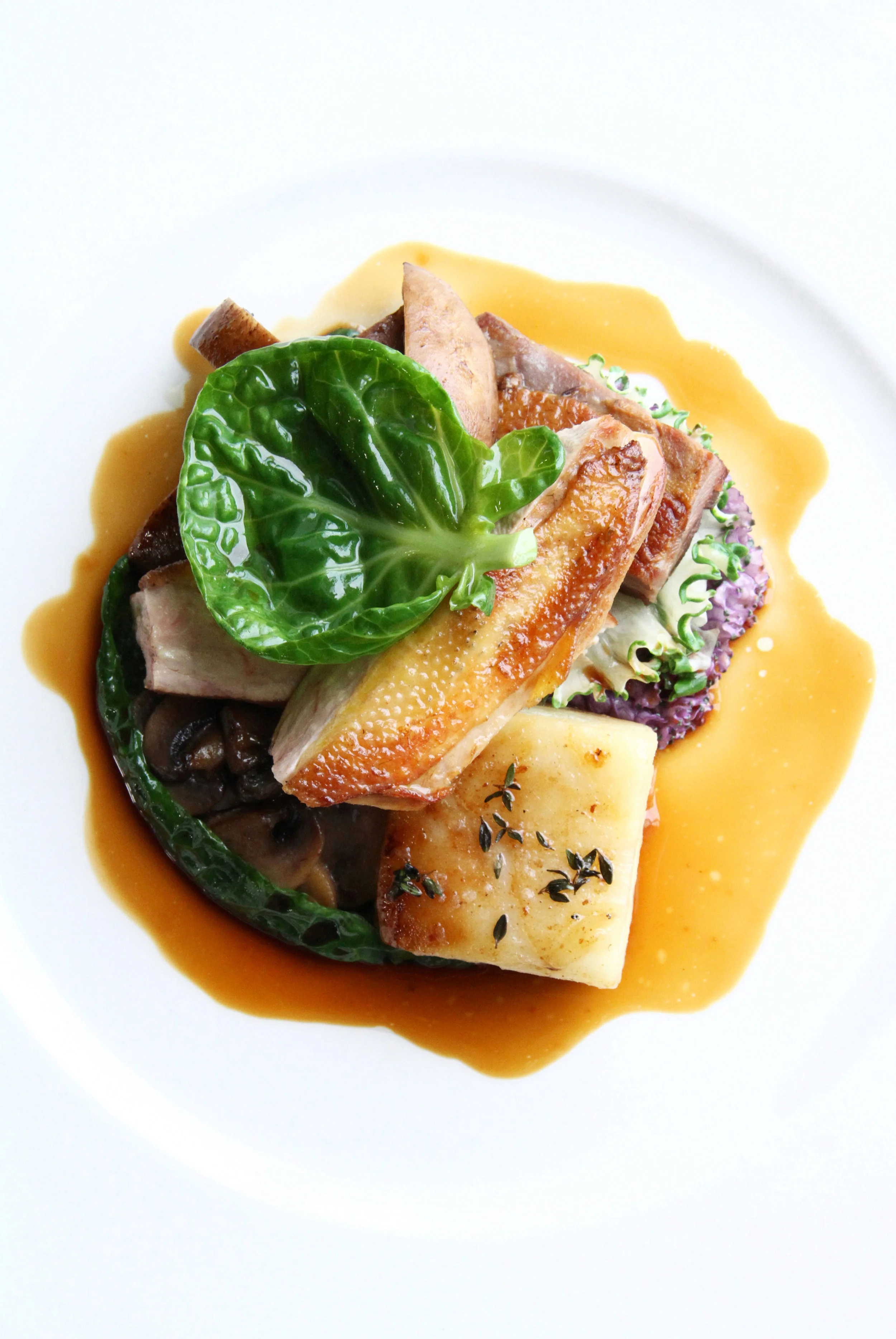 Breast of Pan Roasted Pheasant with Whisky Cream Sauce.jpg