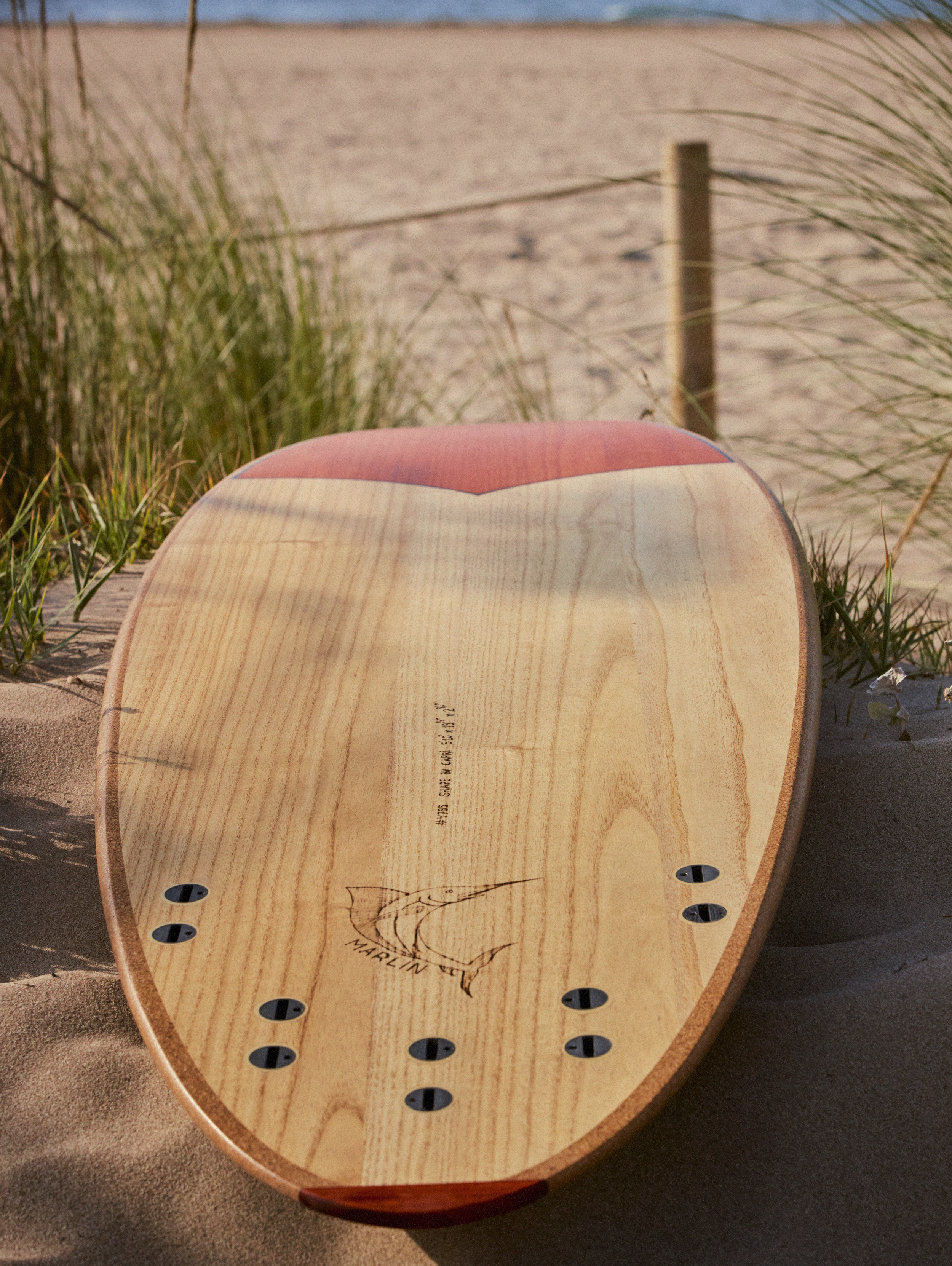 Tabla de surf sostenible de madera - Truwood