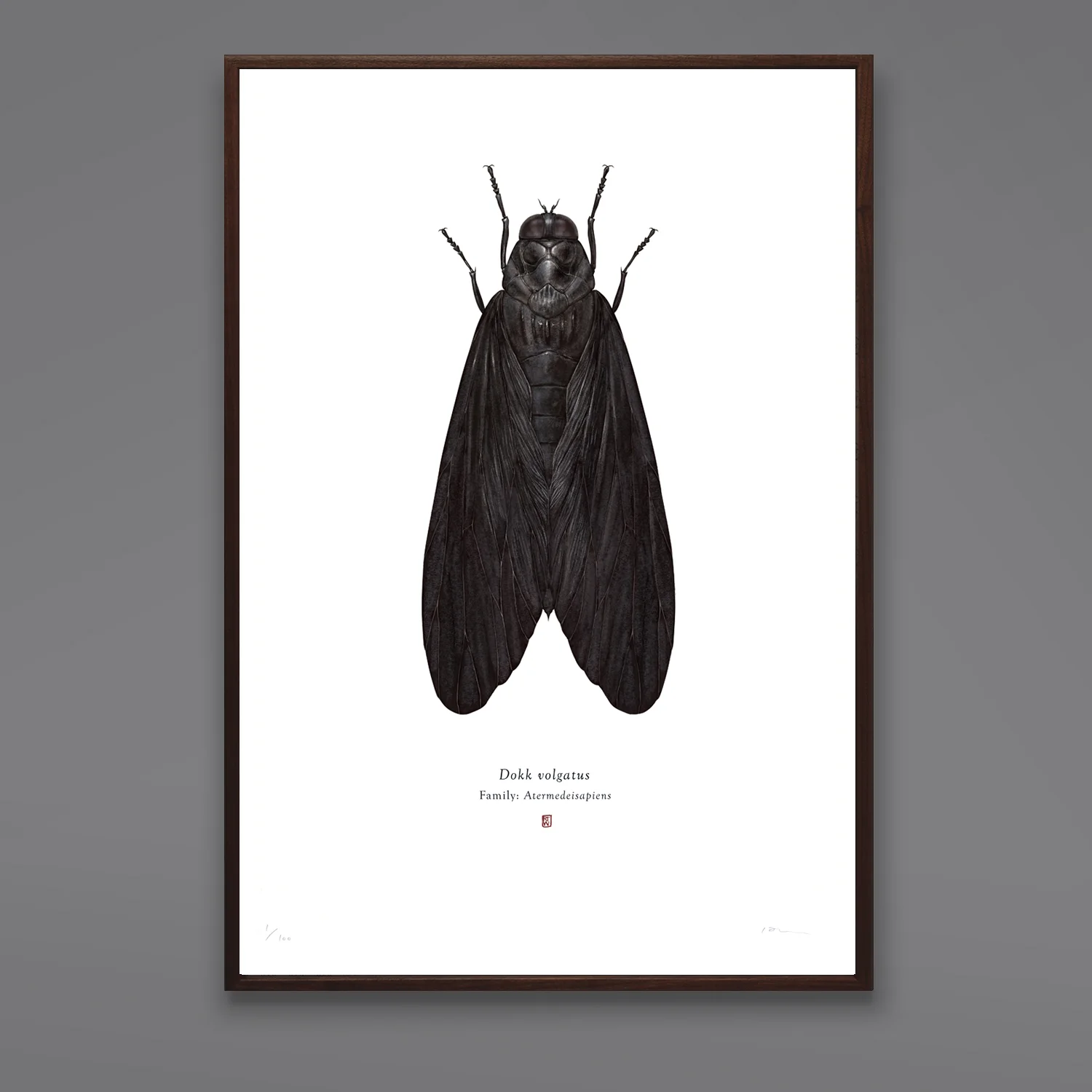 Dokk volgatus