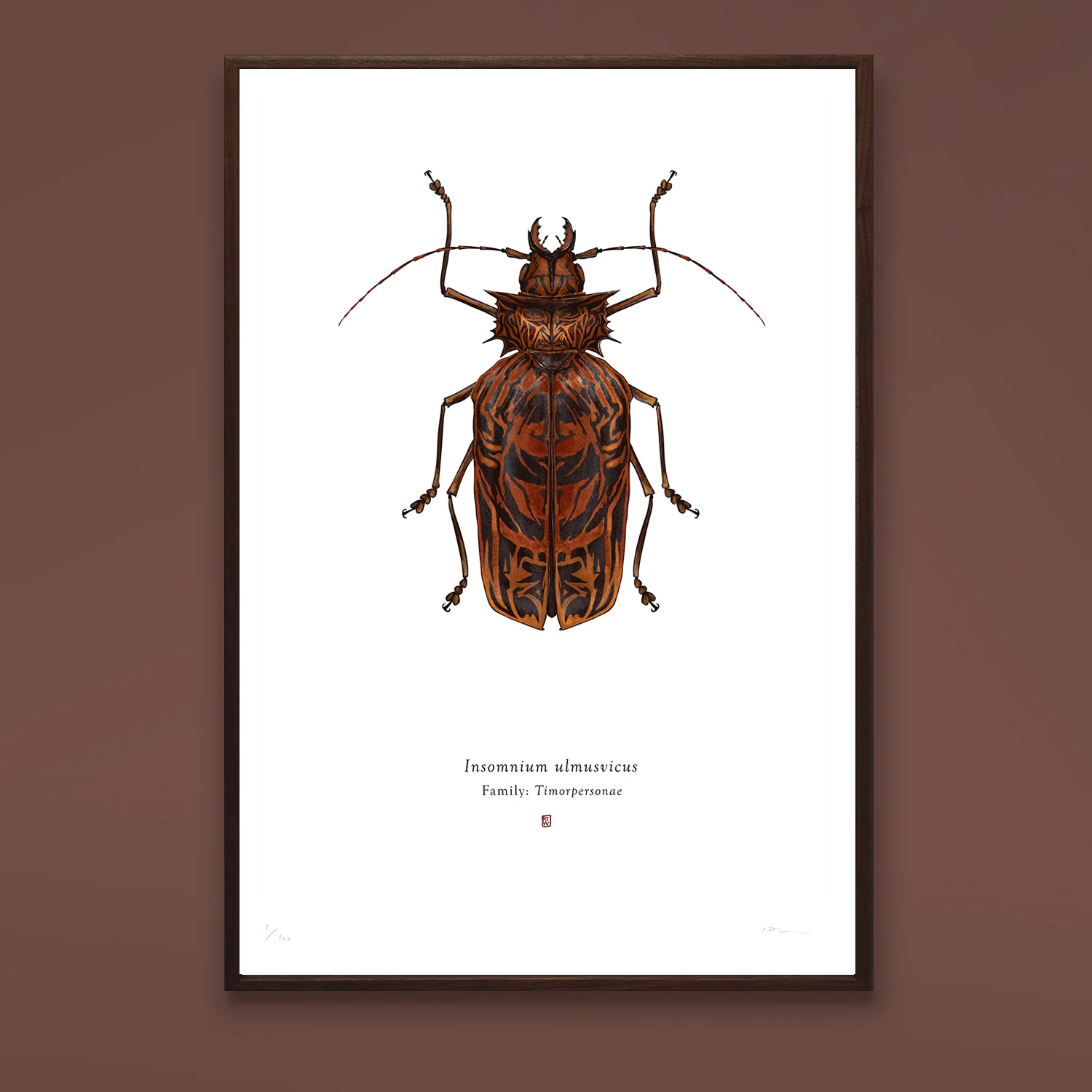 Insomnium ulmusvicus