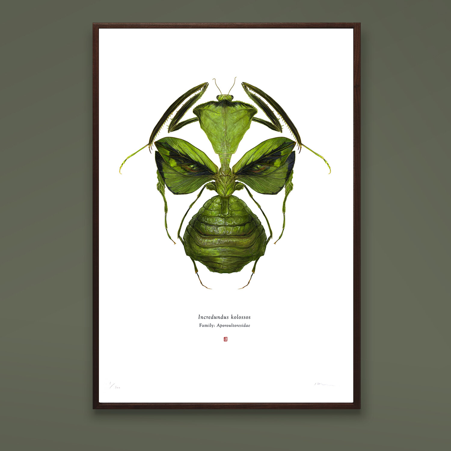 Incredundus kolossos