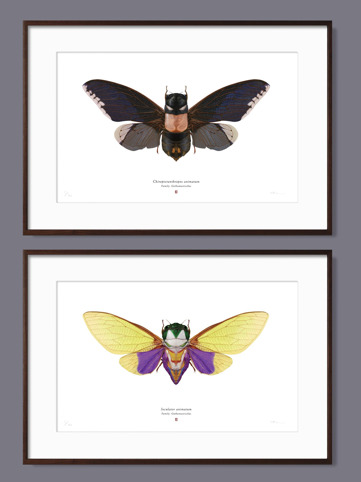 framed_batman-prints_animated.jpg