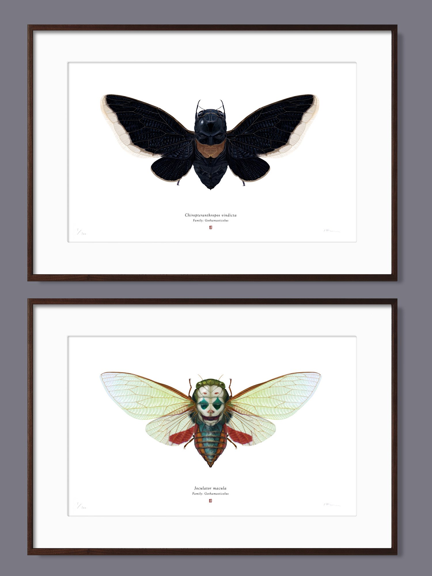 framed_batman-prints_mixed.jpg