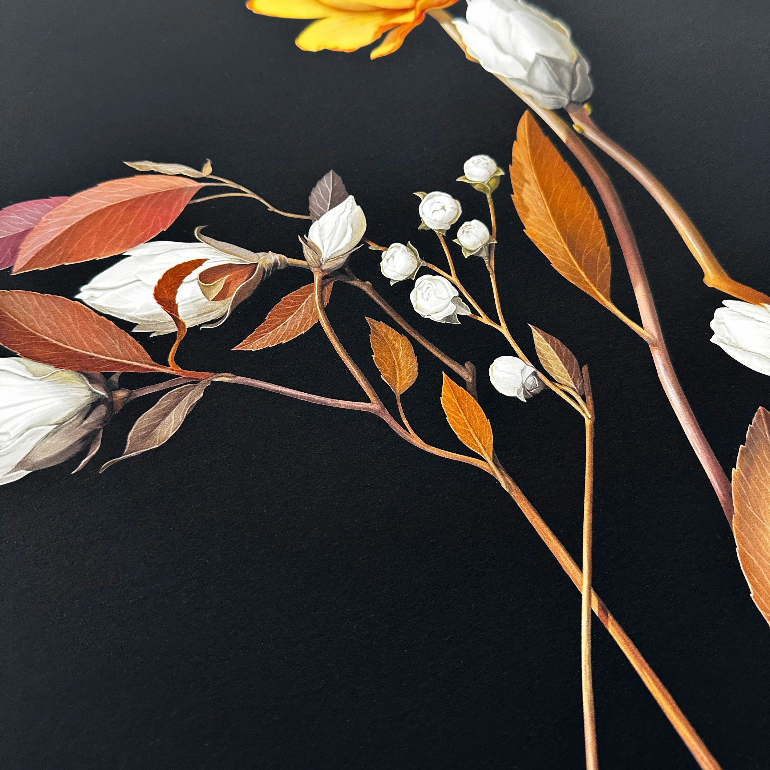 bambi_detail1_sq.jpg