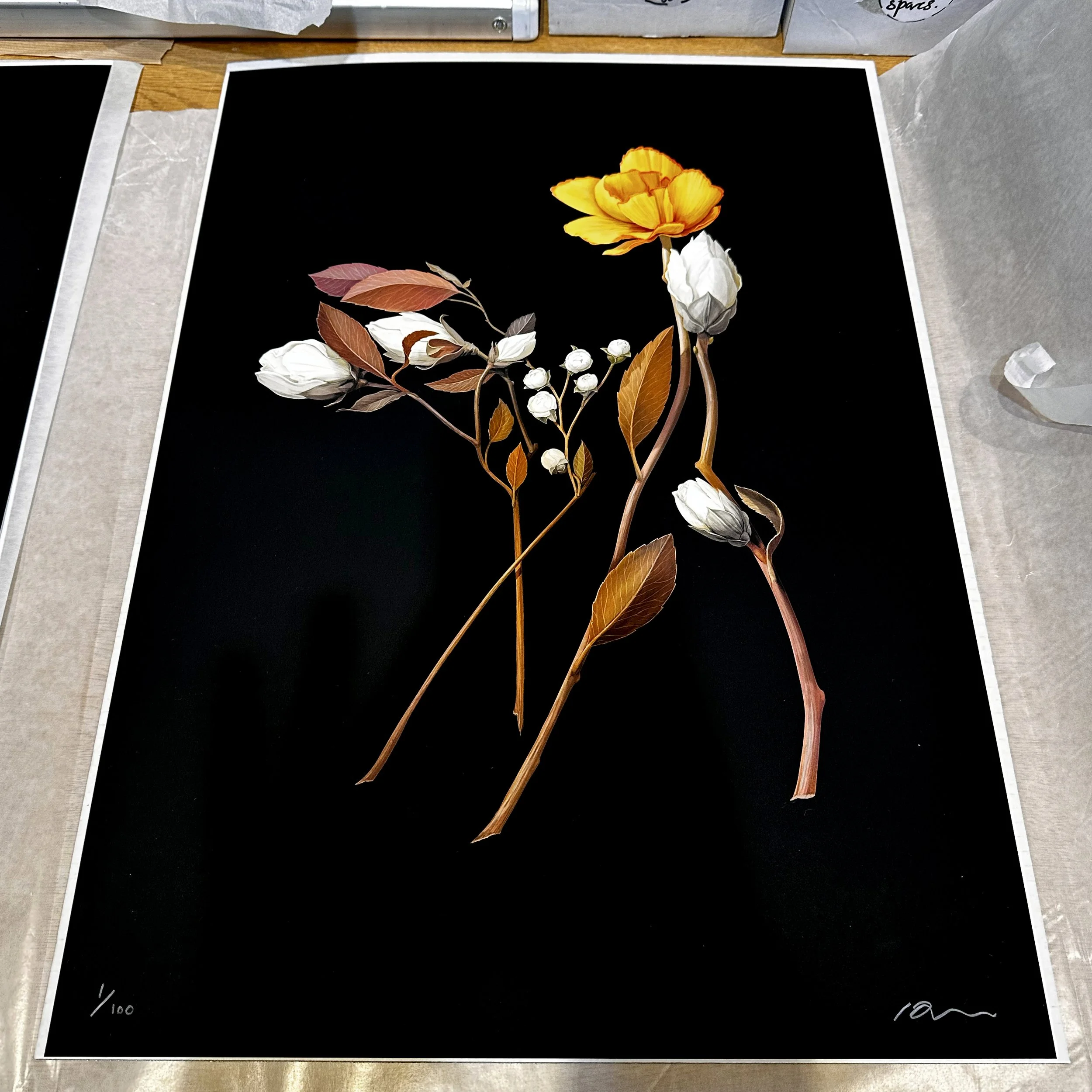 bambi_detail3_sq.jpg