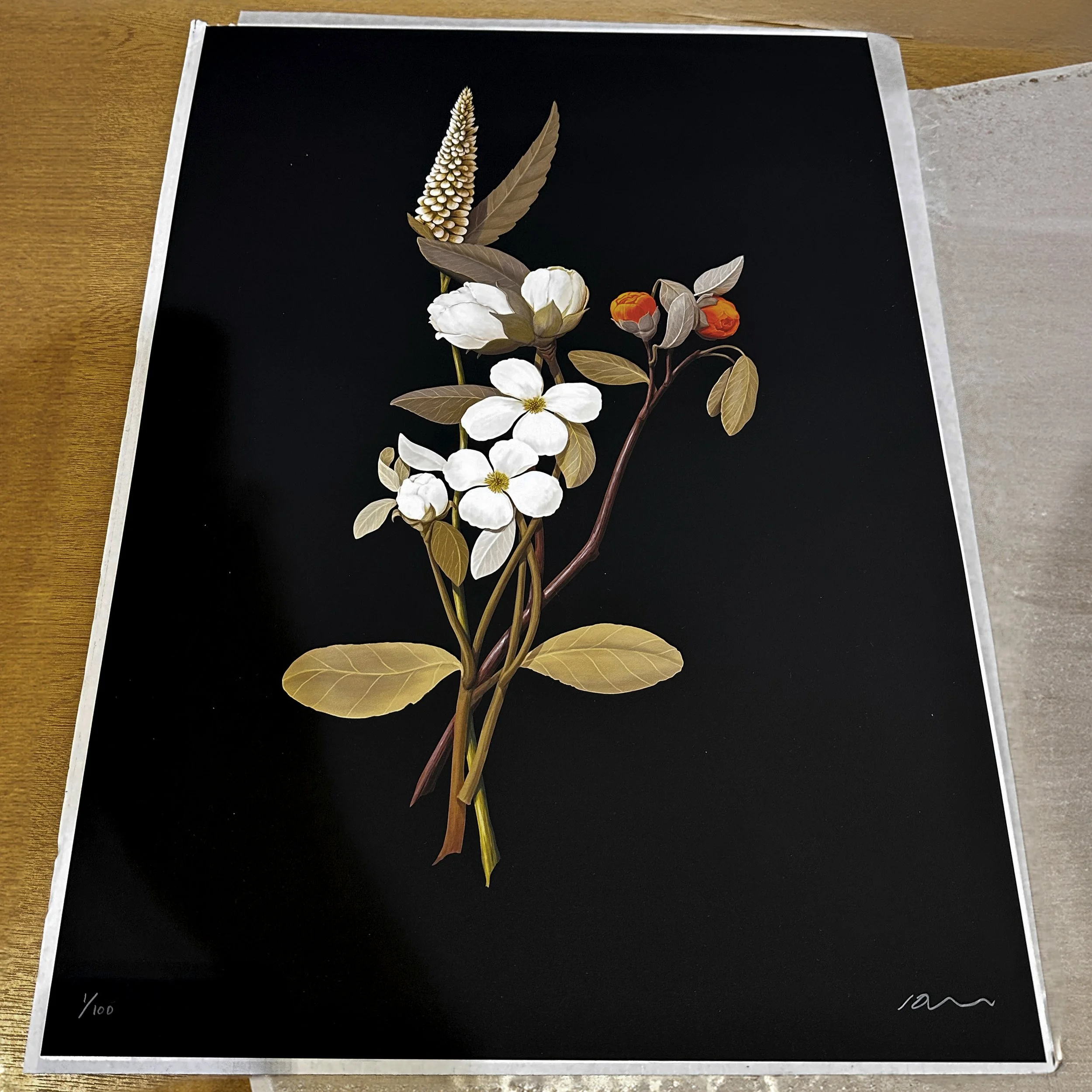 bugs_detail6_sq.jpg