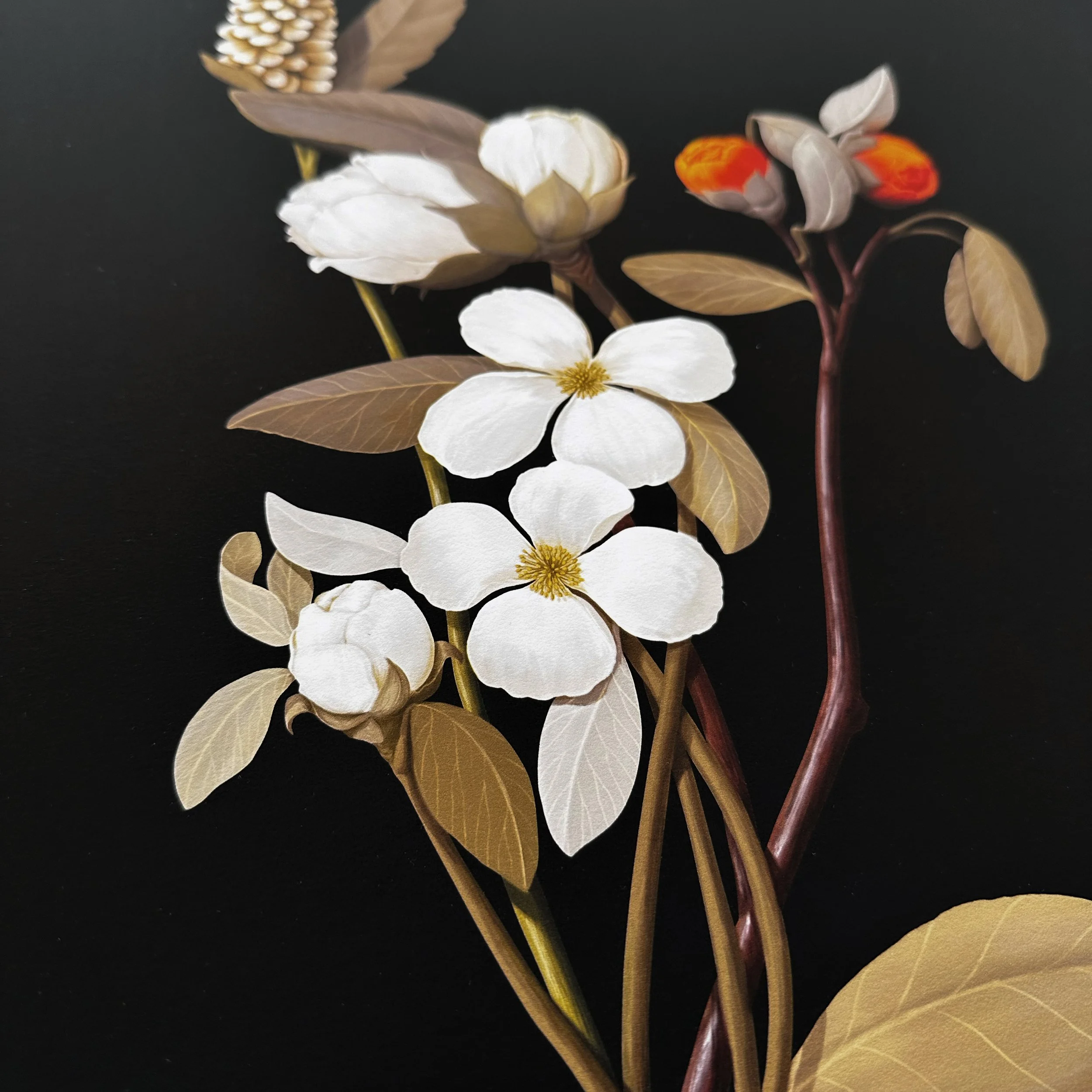 bugs_detail2_sq.jpg