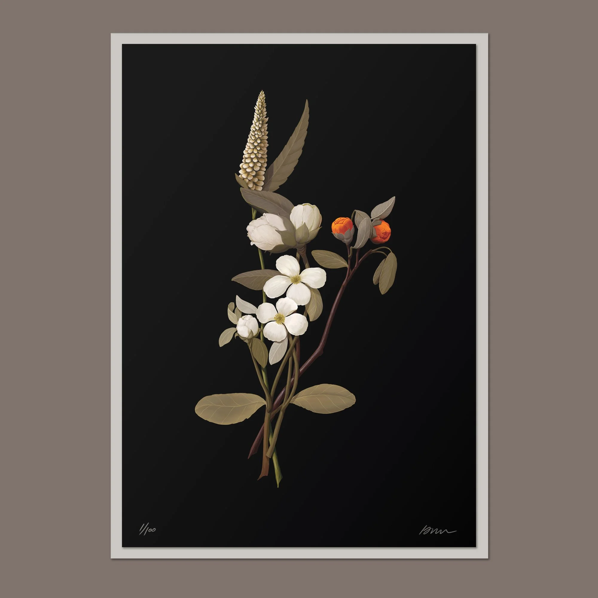 bugs_unframed_sq1.jpg