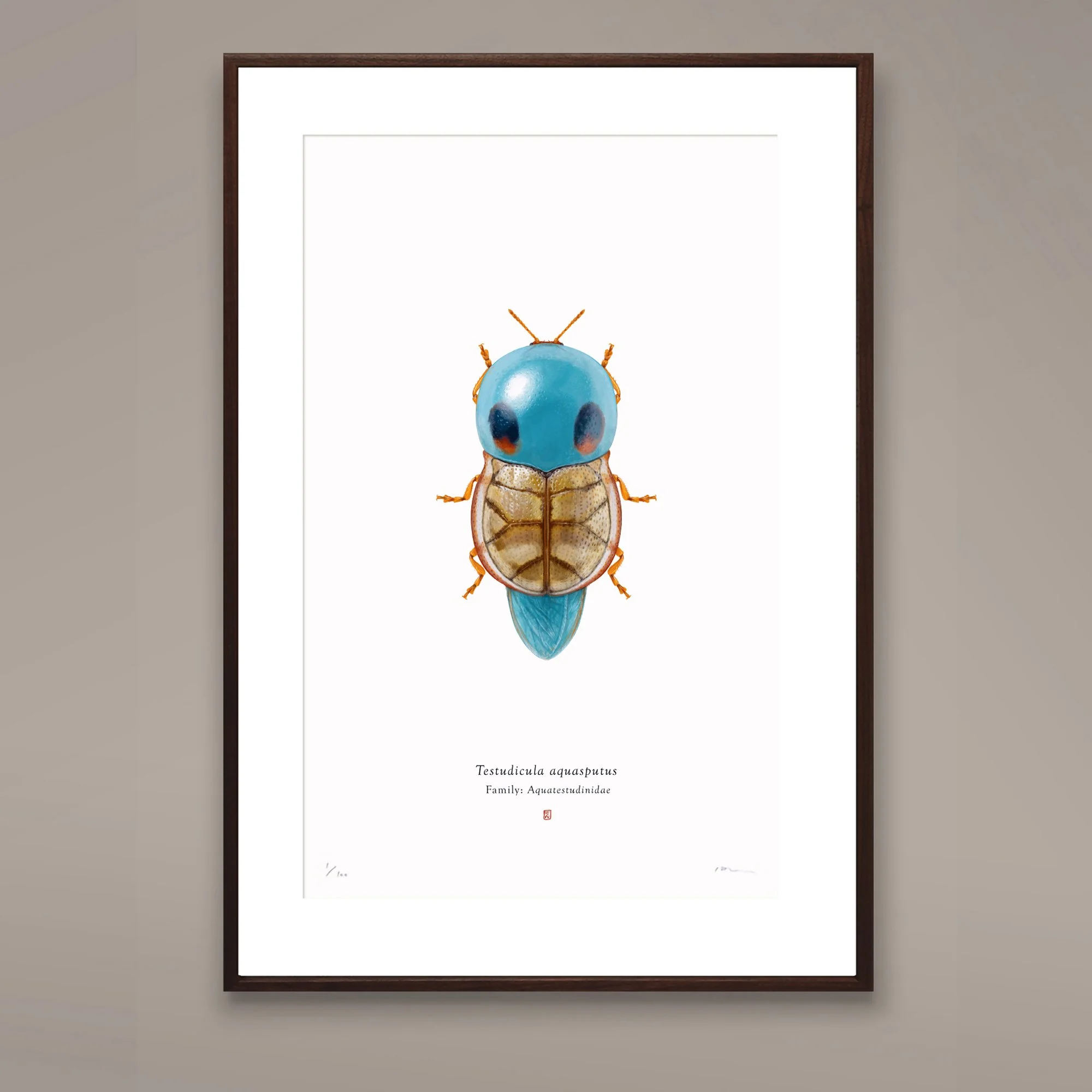 squirtle_l_framed_sq1.jpg