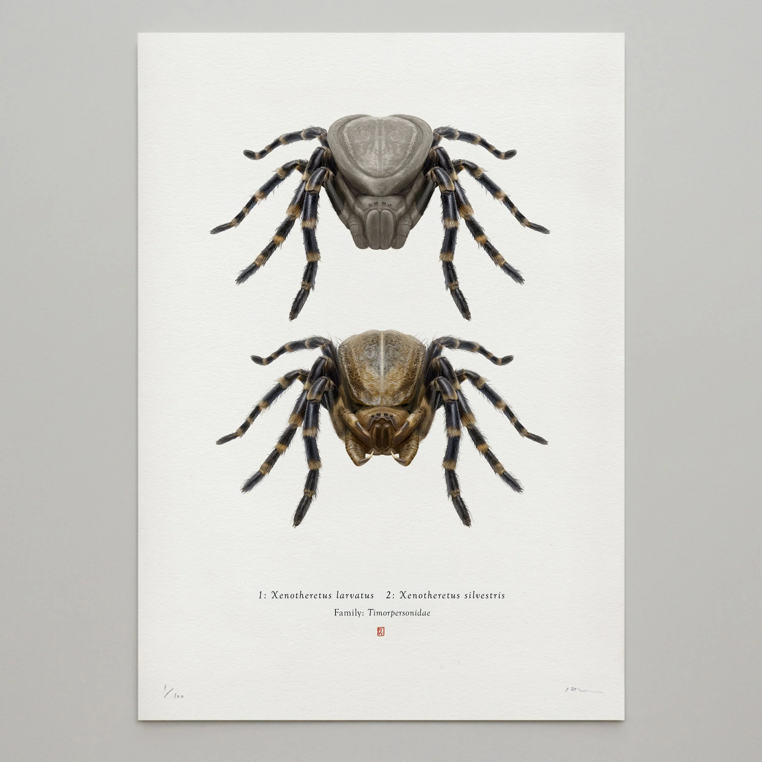 predator_original_both_unframed_sq.jpg