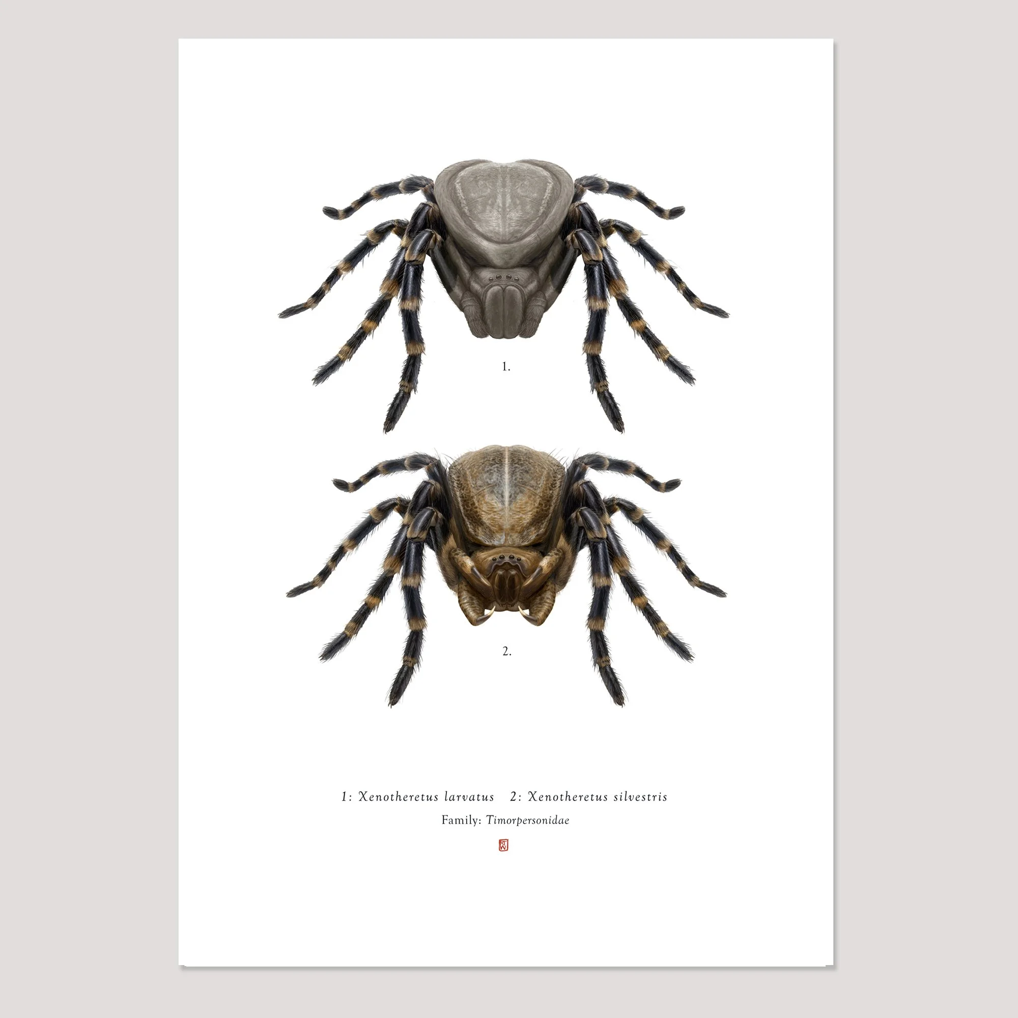 predator_original_both_unframed3_sq.jpg