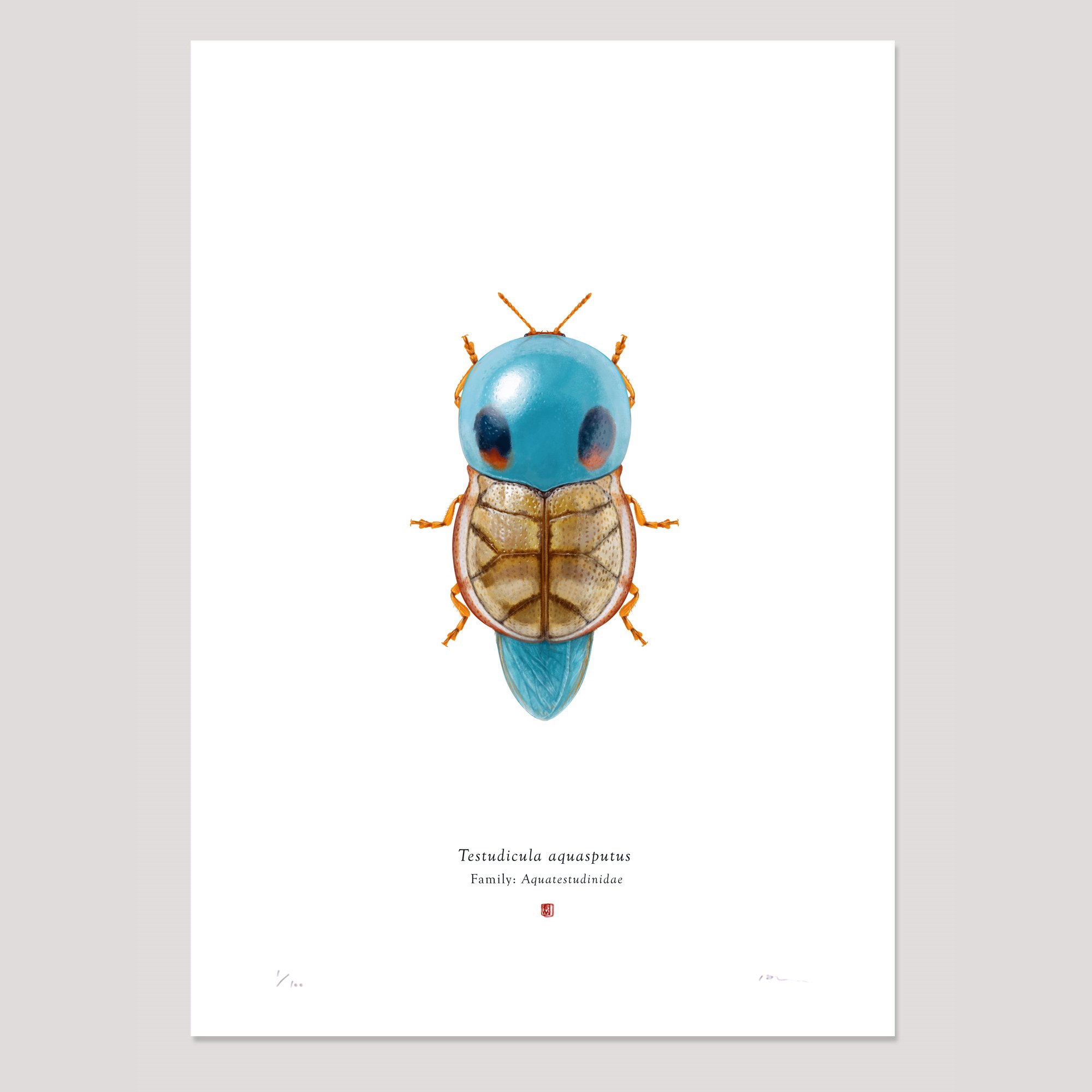 'Testudicula aquasputus' Limited Edition Print