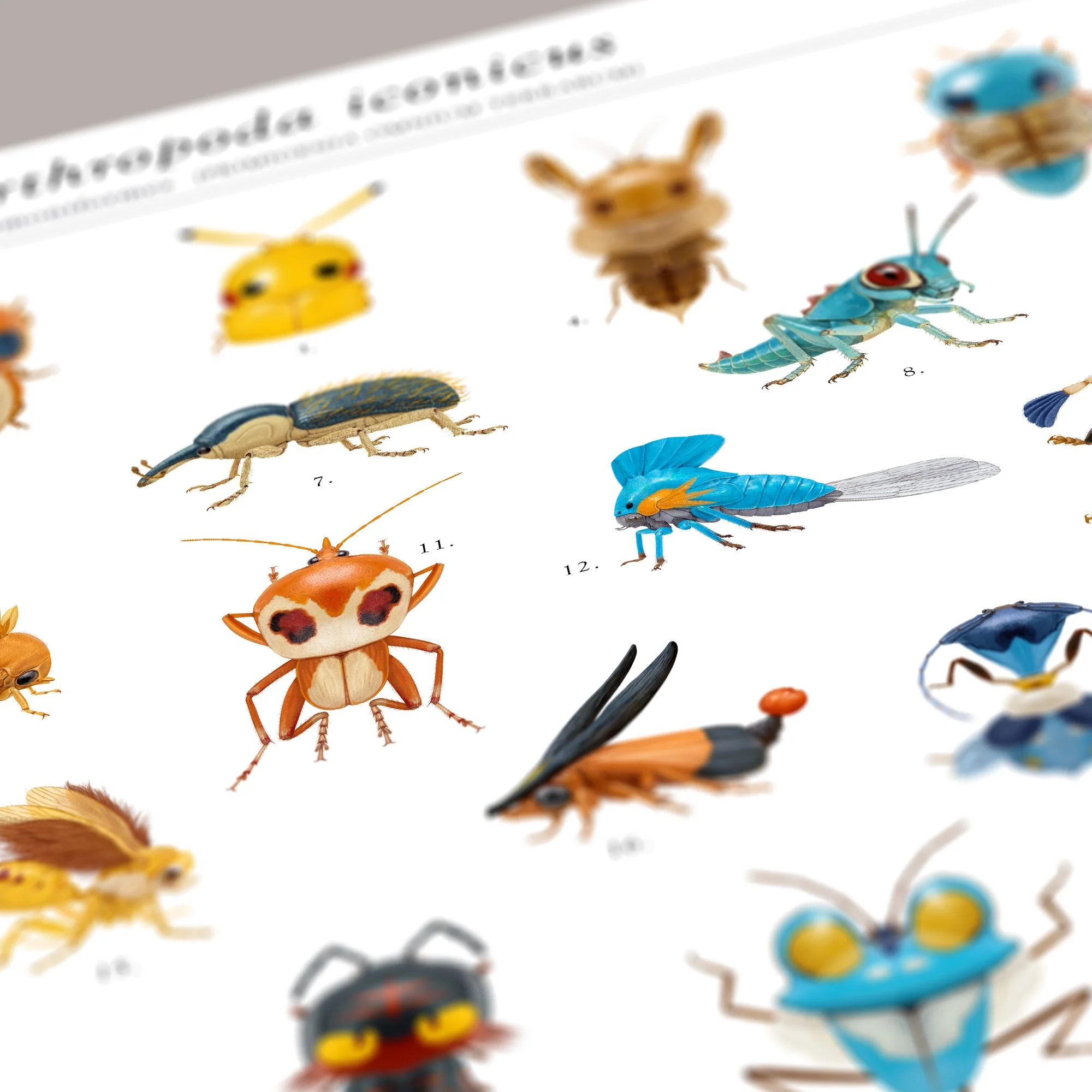 pokemon_poster_sq_det4.jpg