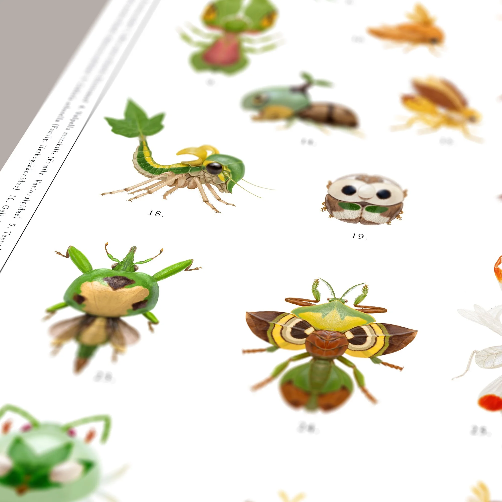 pokemon_poster_sq_det3.jpg