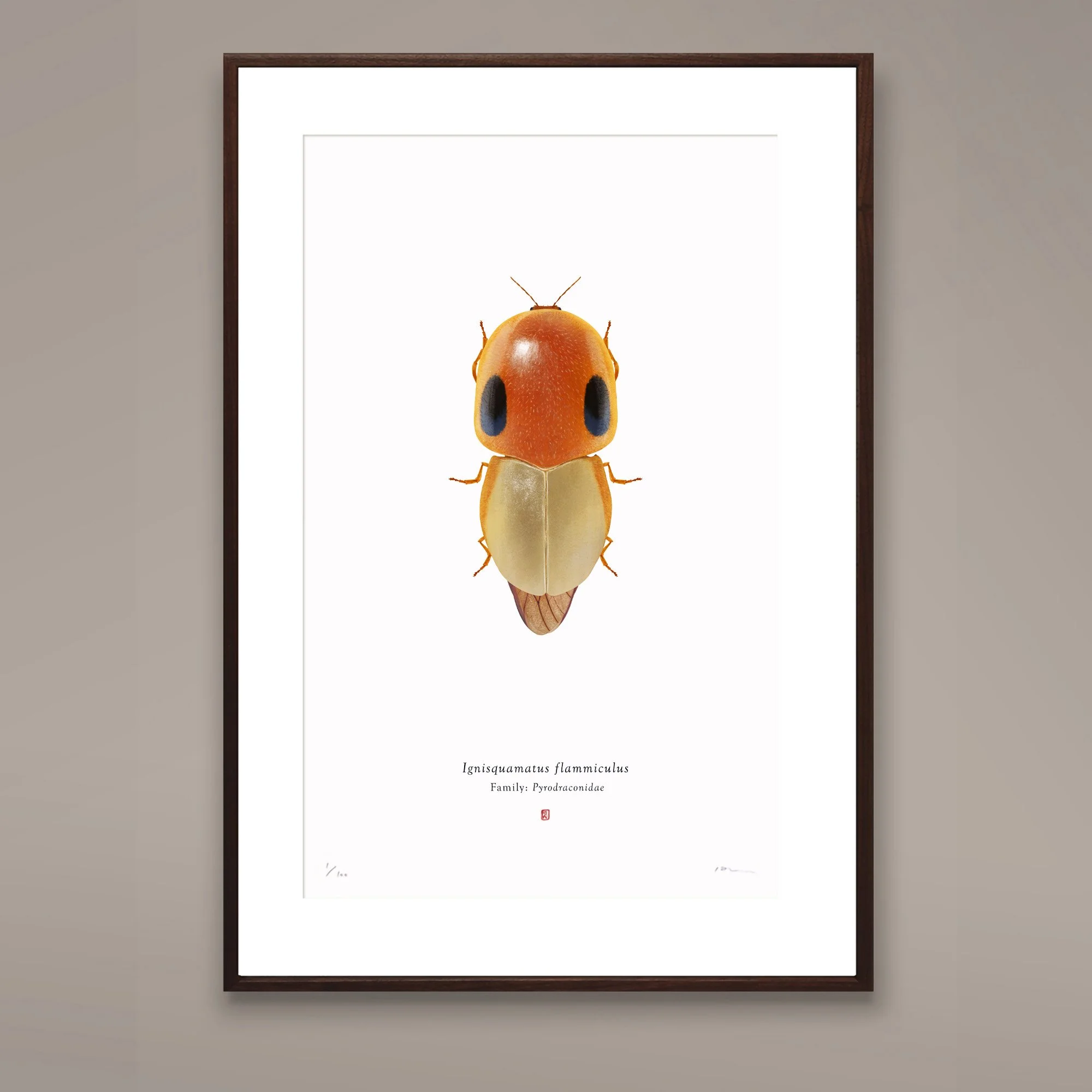 charmander_l_framed_sq1.jpg