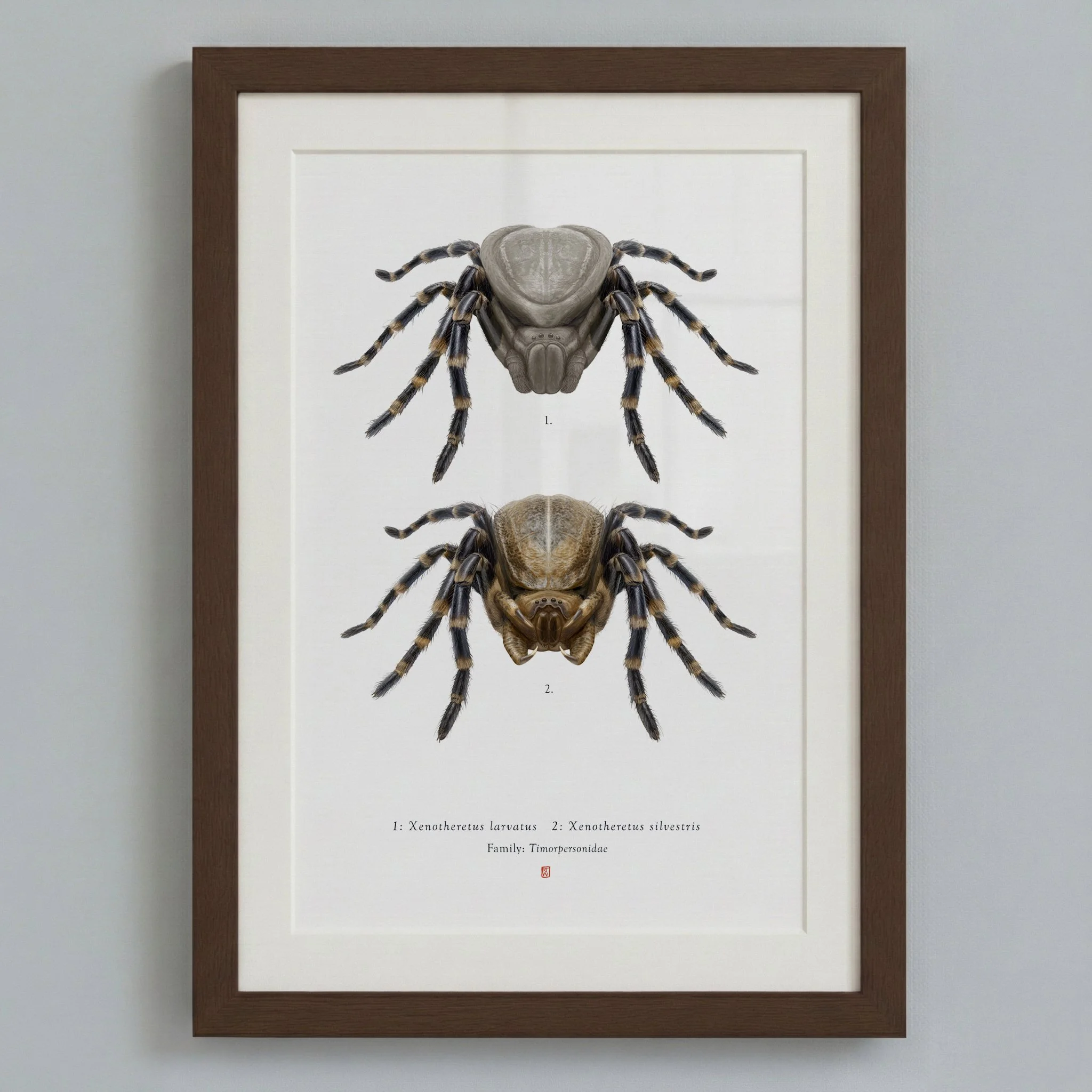 predator_original_both_framed2.jpg
