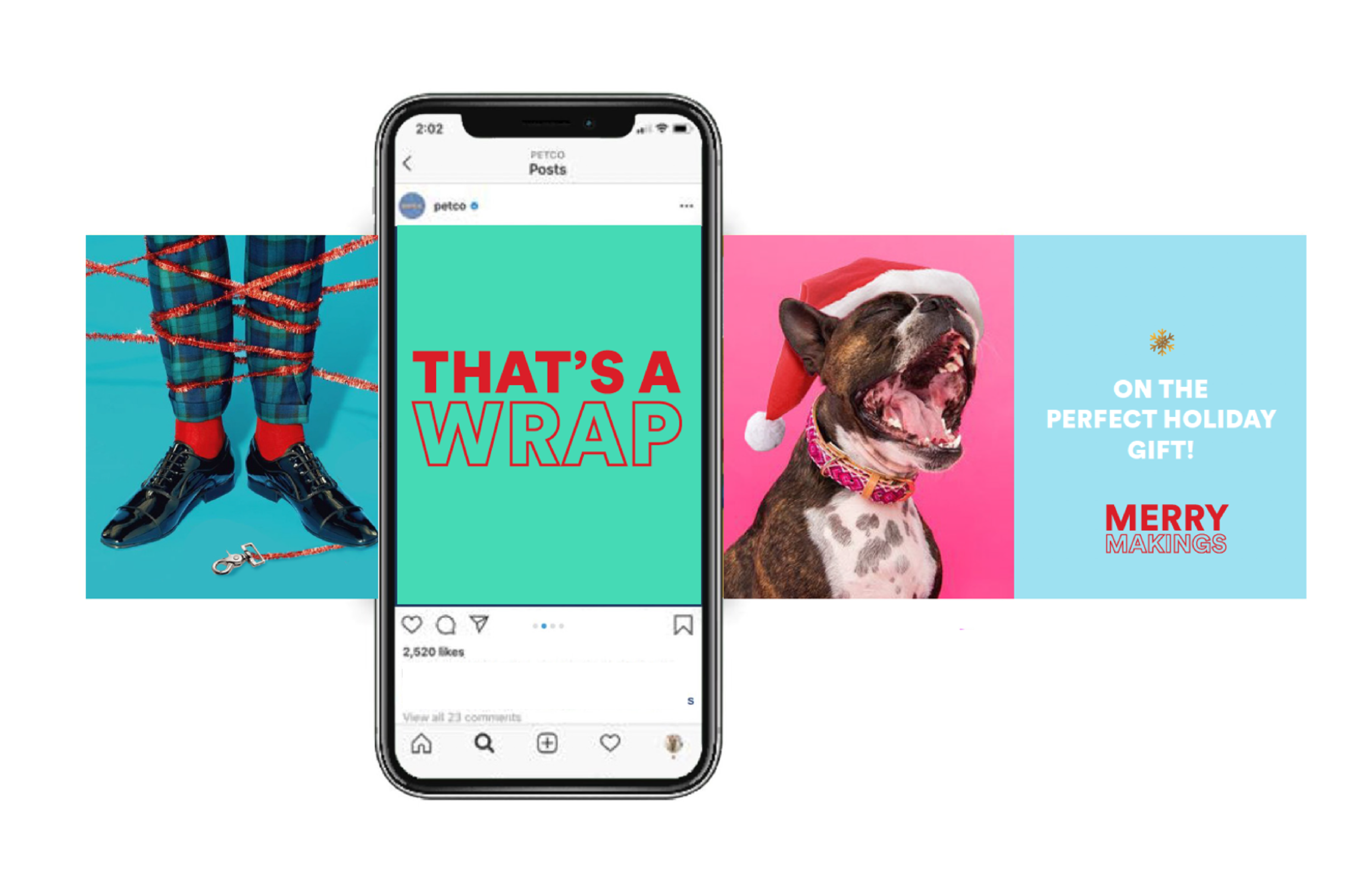 PETCO HOLIDAY-6.webp