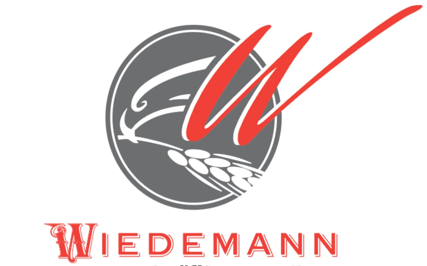 Wiedemann3.jpg