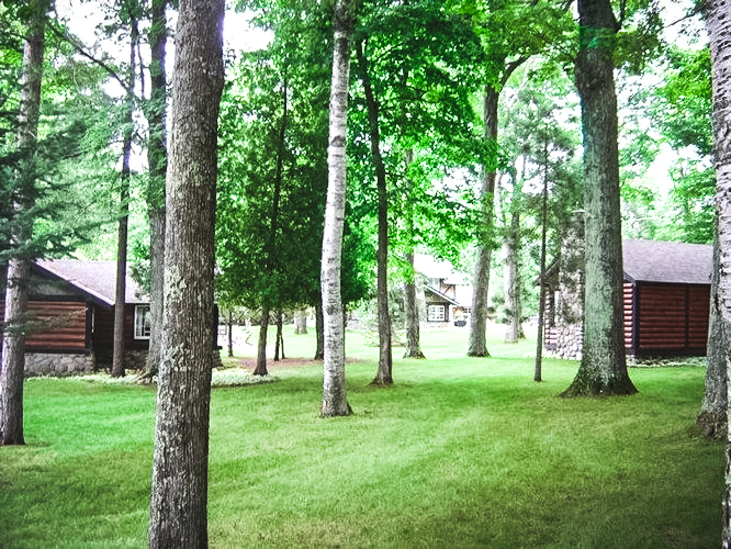 mls-449258-2841-n-lake-shore-drive-harbor-springs-mi-49740.14.jpg
