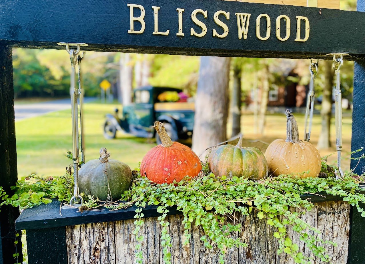 Blisswood Sign 10-2023.jpg