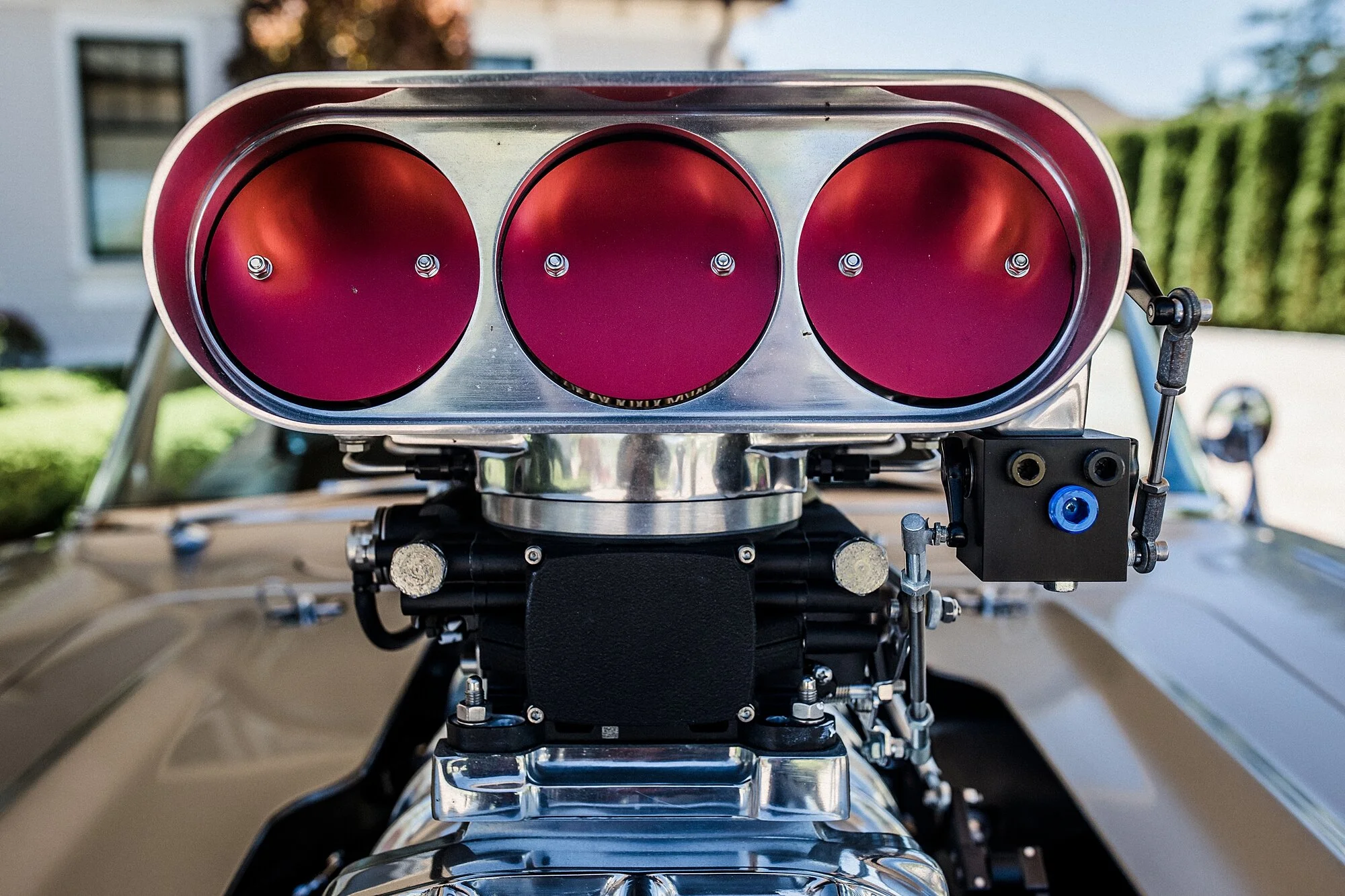 catback-creative-norm-gavin-gasser_0190.jpg