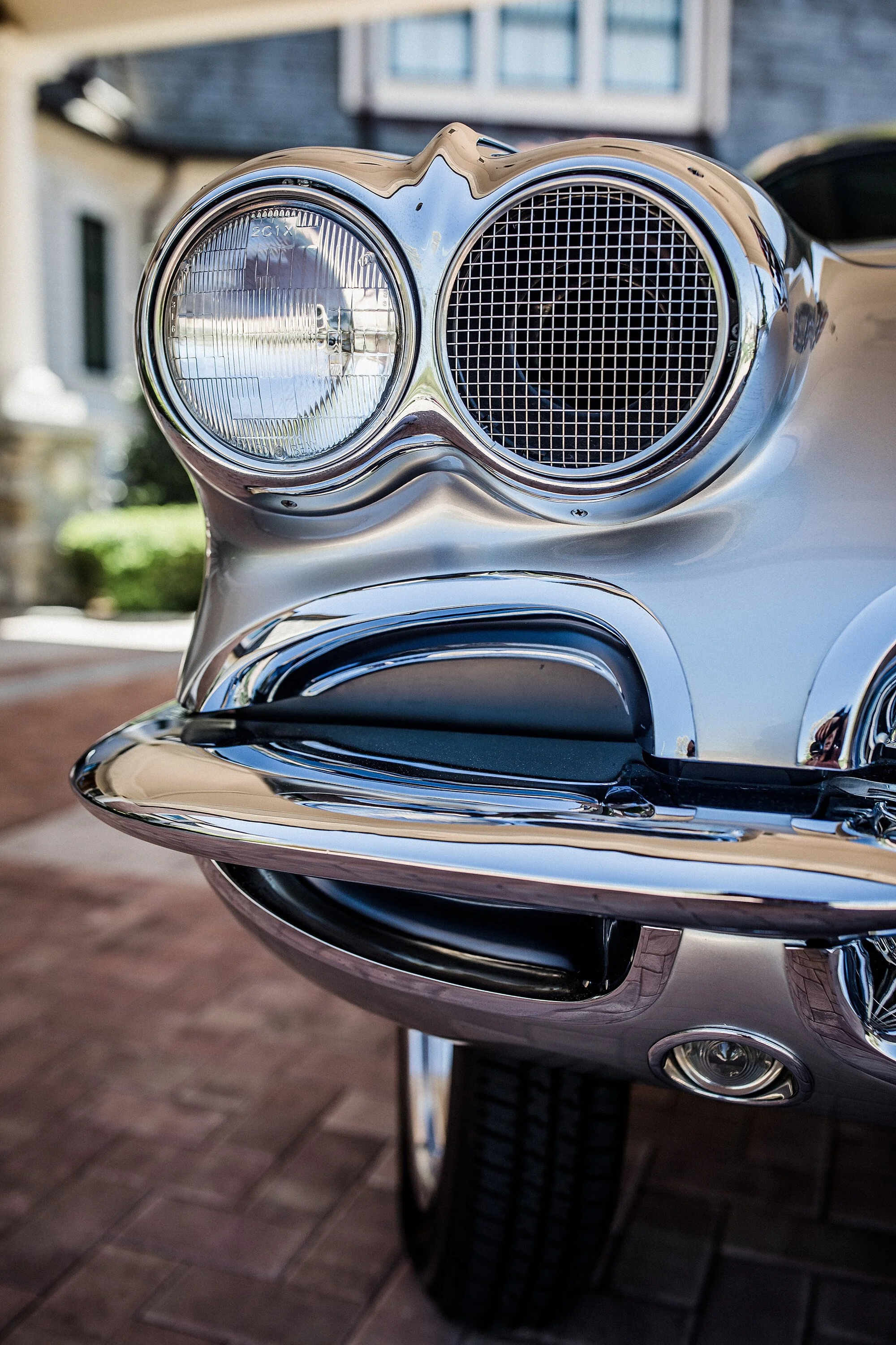 catback-creative-norm-gavin-gasser_0269.jpg