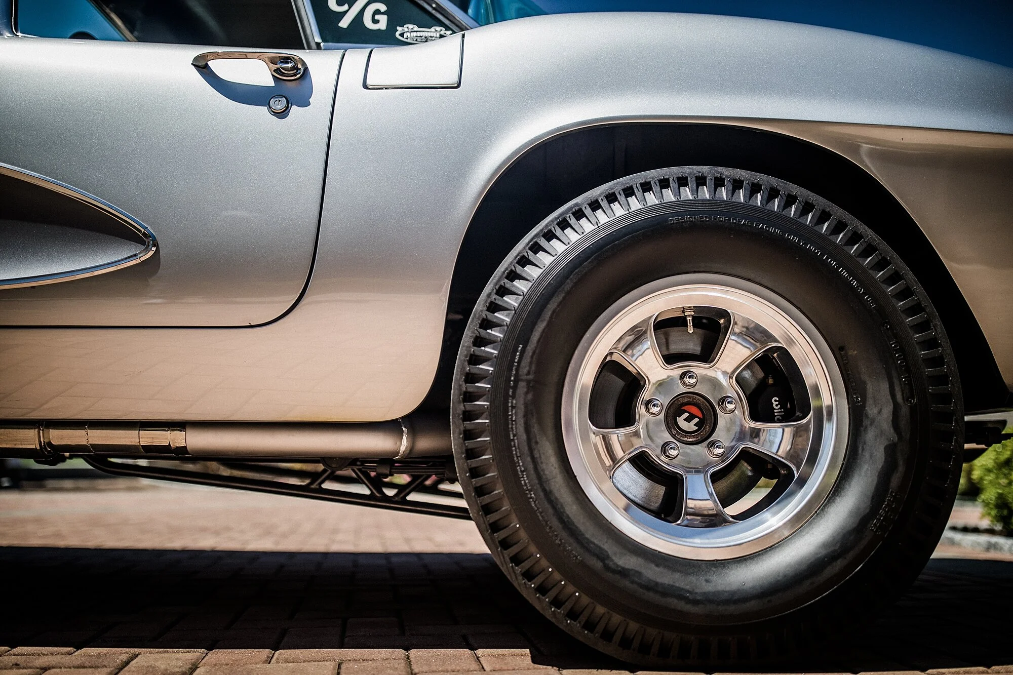catback-creative-norm-gavin-gasser_0283.jpg