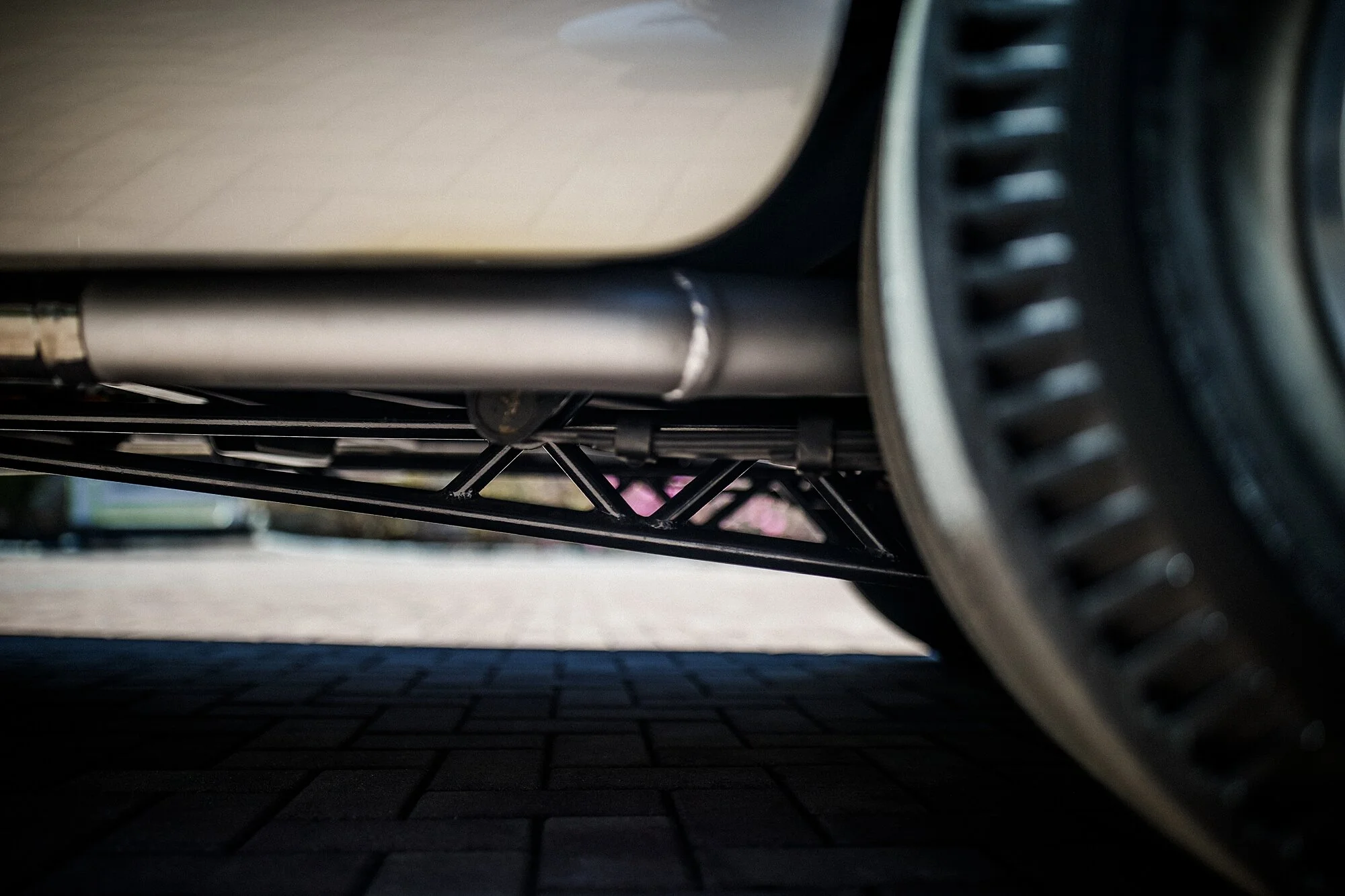 catback-creative-norm-gavin-gasser_0284.jpg