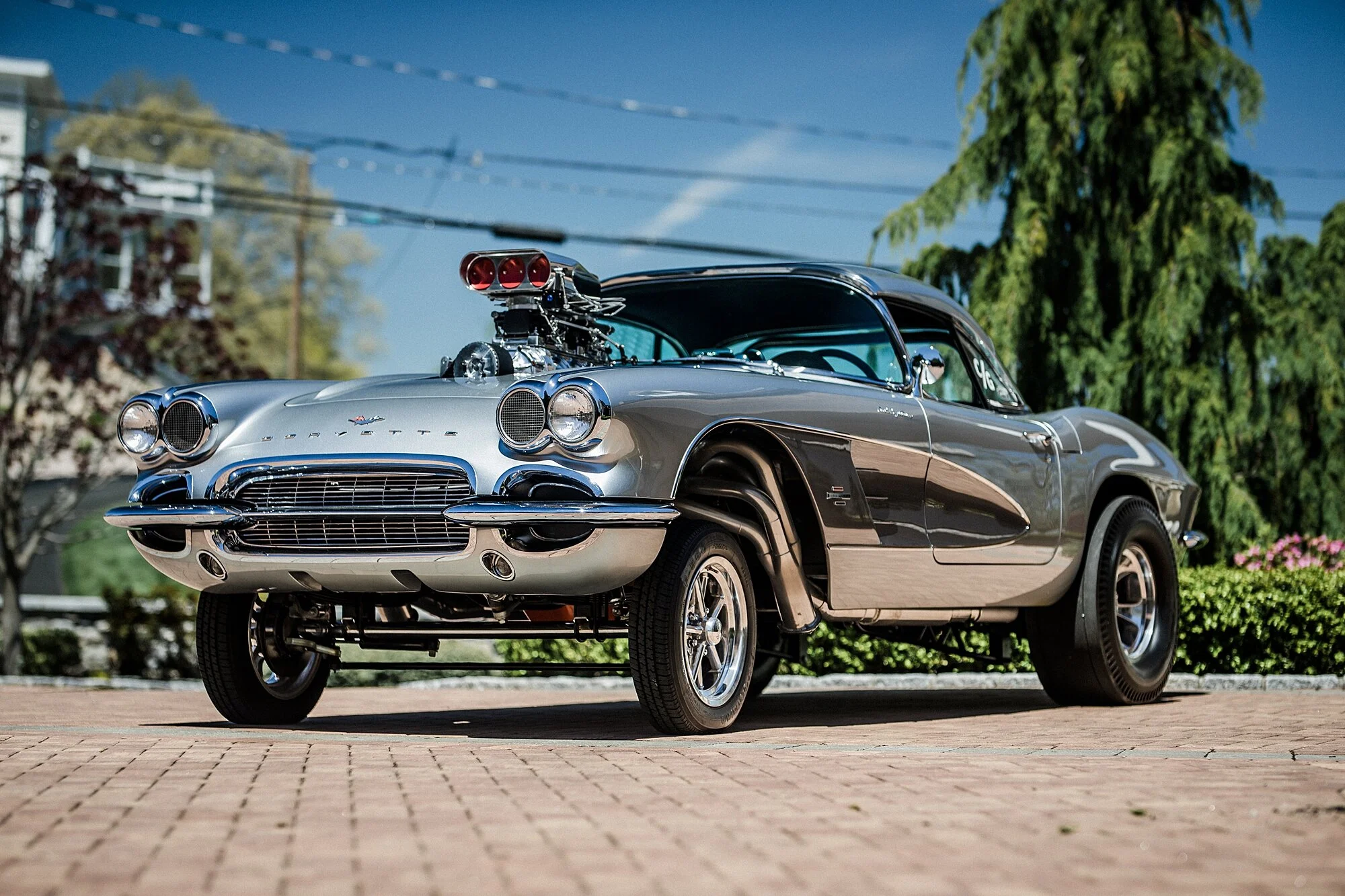 catback-creative-norm-gavin-gasser_0302.jpg