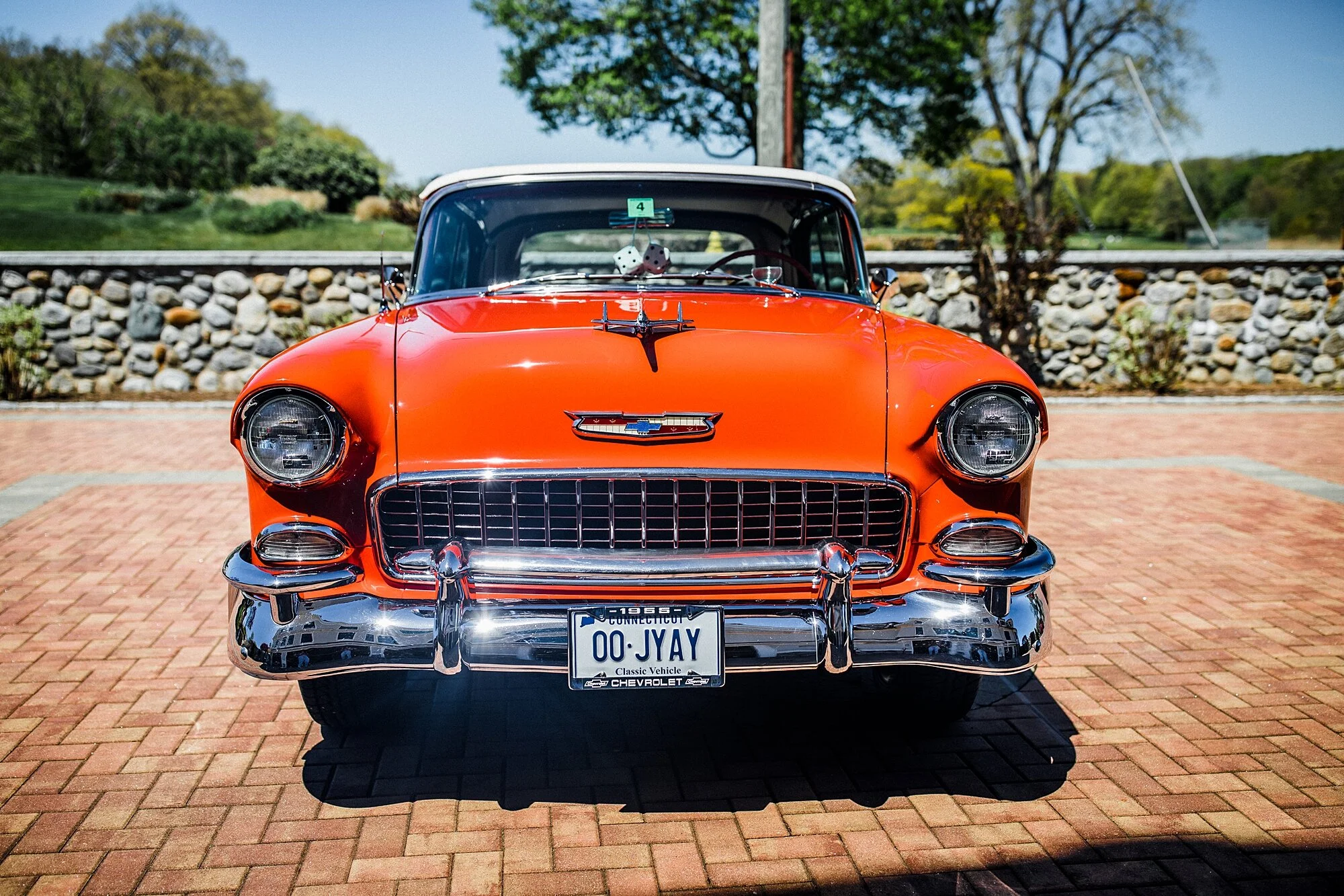 catback-creative-norm-gavin-belair_0305.jpg