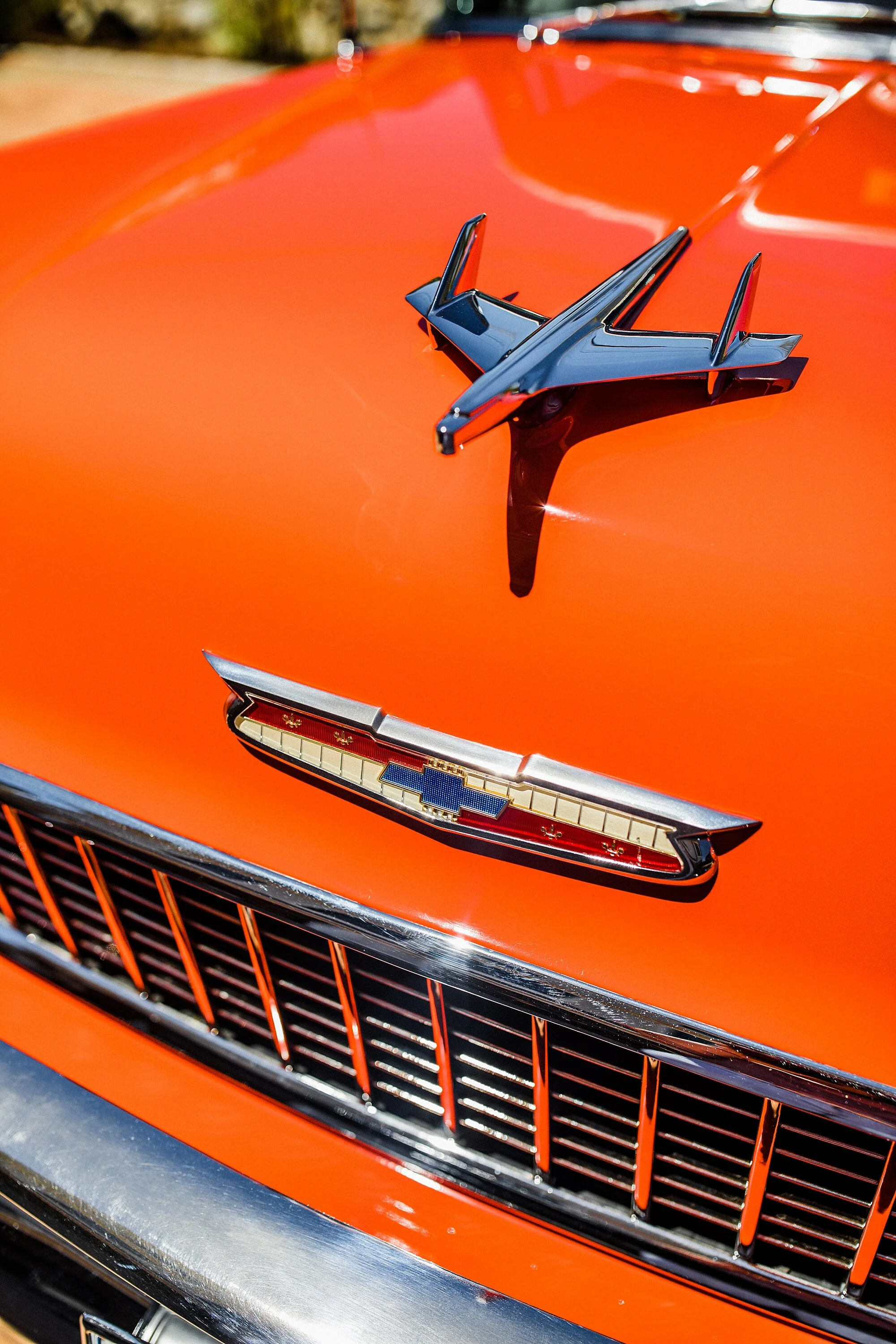 catback-creative-norm-gavin-belair_0308.jpg