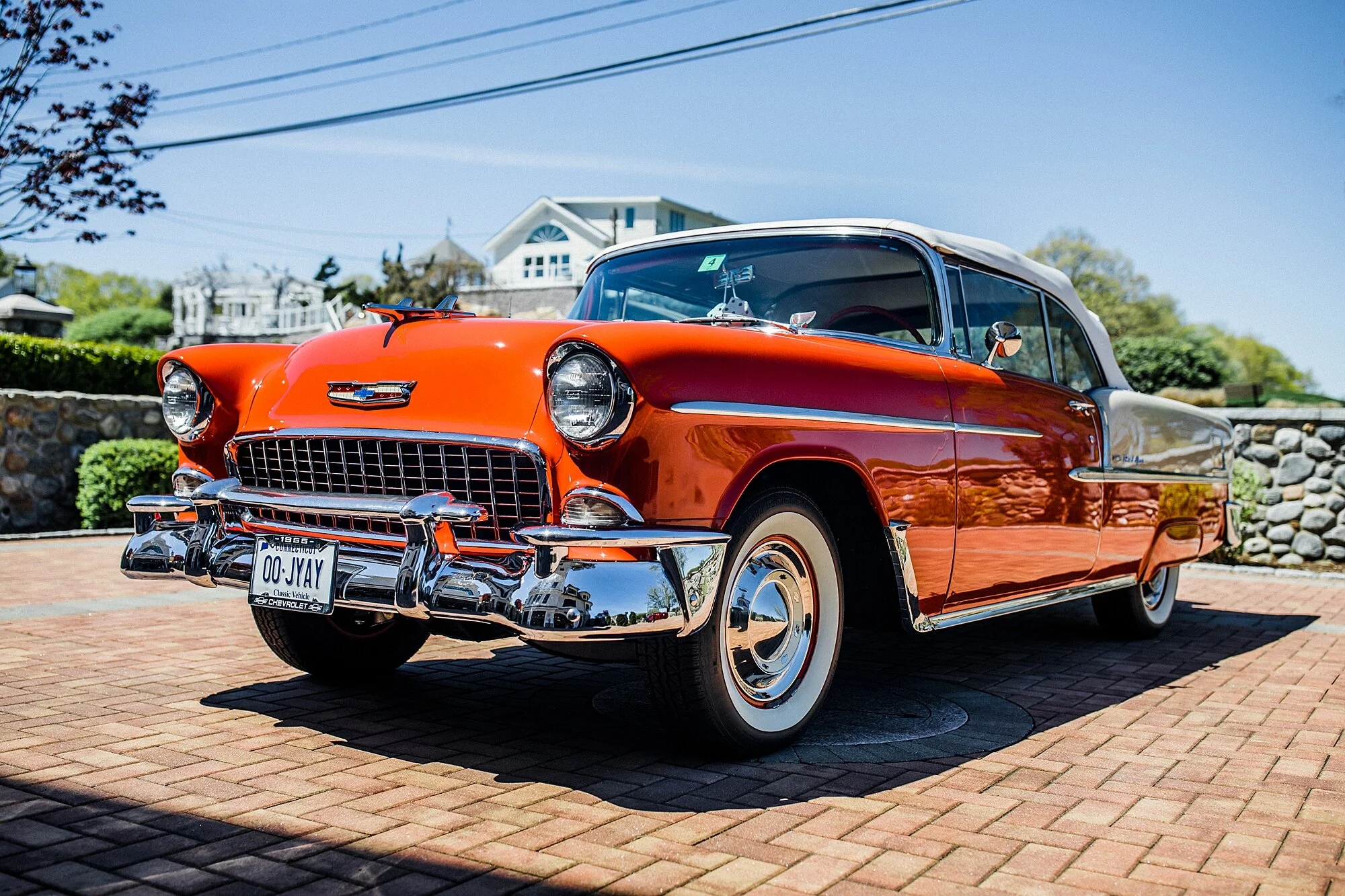 catback-creative-norm-gavin-belair_0356.jpg