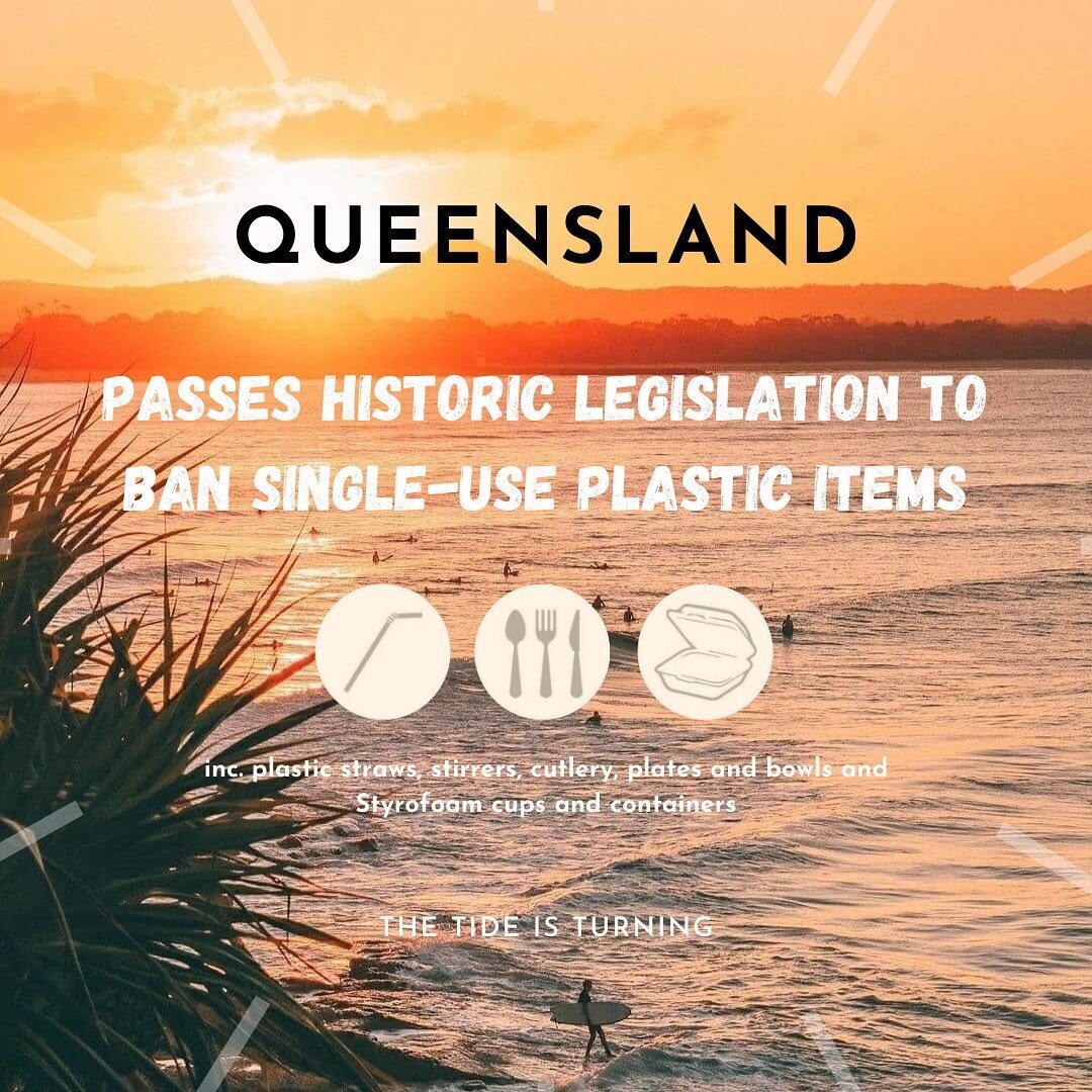 The momentum keeps building! 💪🗑

Exciting news this week as QLD becomes the 2nd State in Australia to introduce a ban on single-use plastics 👏

Included in this ban are plastic straws, stirrers, cutlery, plates and bowls and expanded polystyrene (