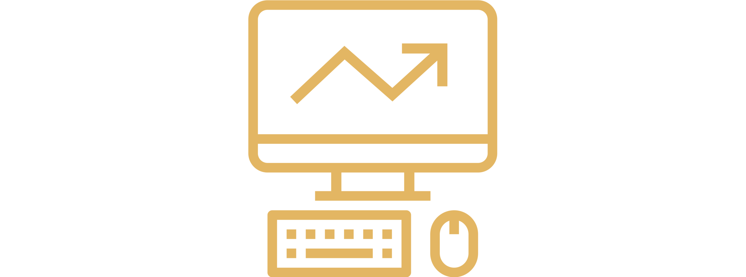 software.png
