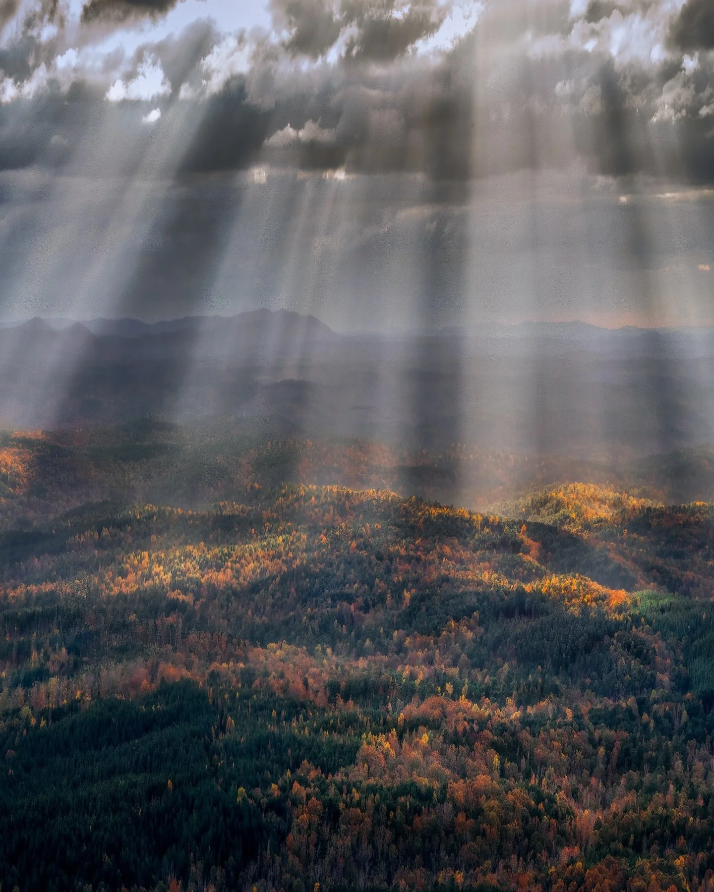 Nestled at the start of the Appalachians, swaths of forests turn a vibrant array of red, orange, and gold against a backdrop of rustic, layered mountains as Autumn takes hold. Greenery from countless trees turns into a patchy quilt, blanketing Alabam