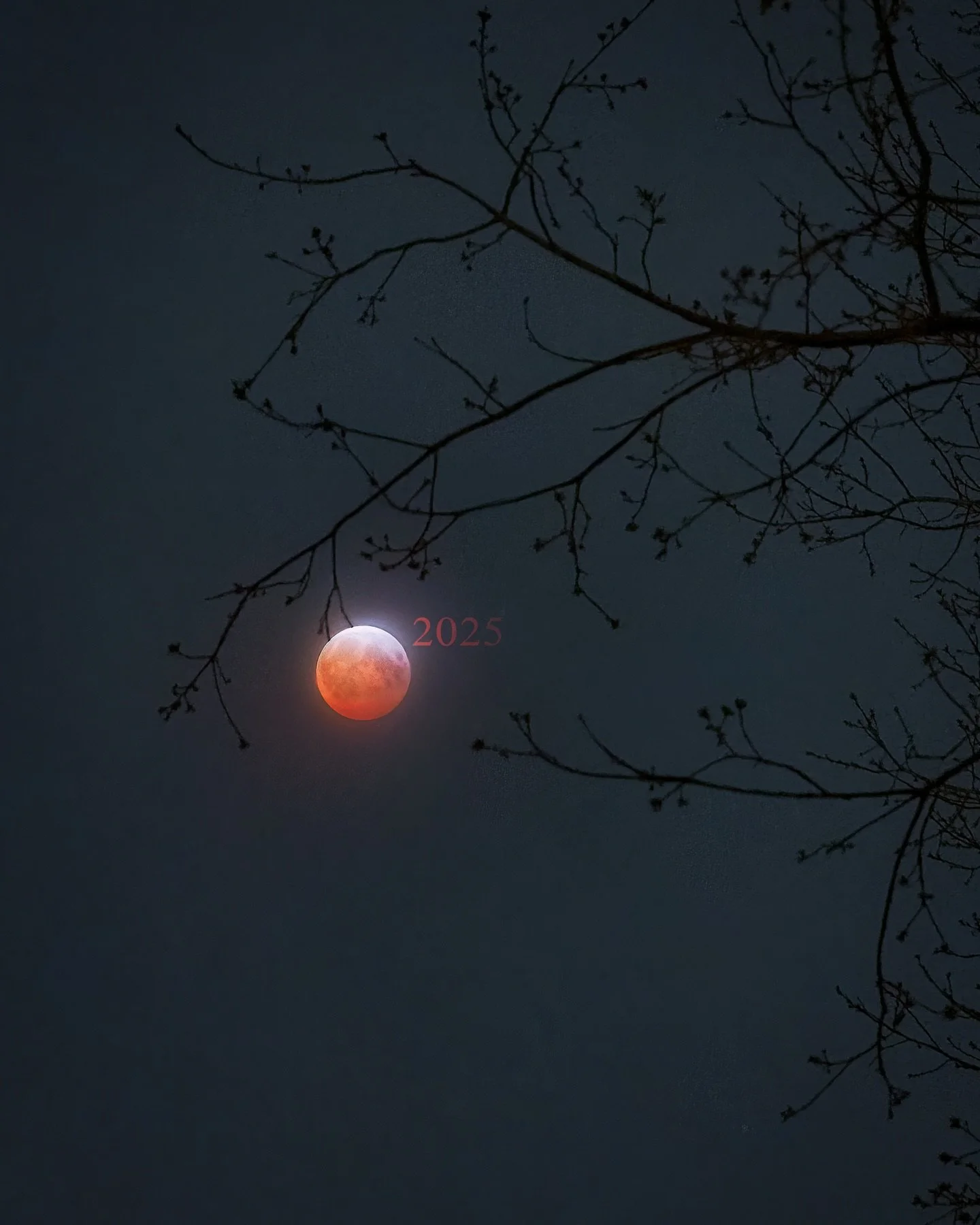 2025.
Another year full of adventures and quiet, magical moments. If 2024 was a year of firsts, then 2025 can best be described as a year of growth. While it wasn&rsquo;t the flashiest year externally, I achieved many personal goals through consisten