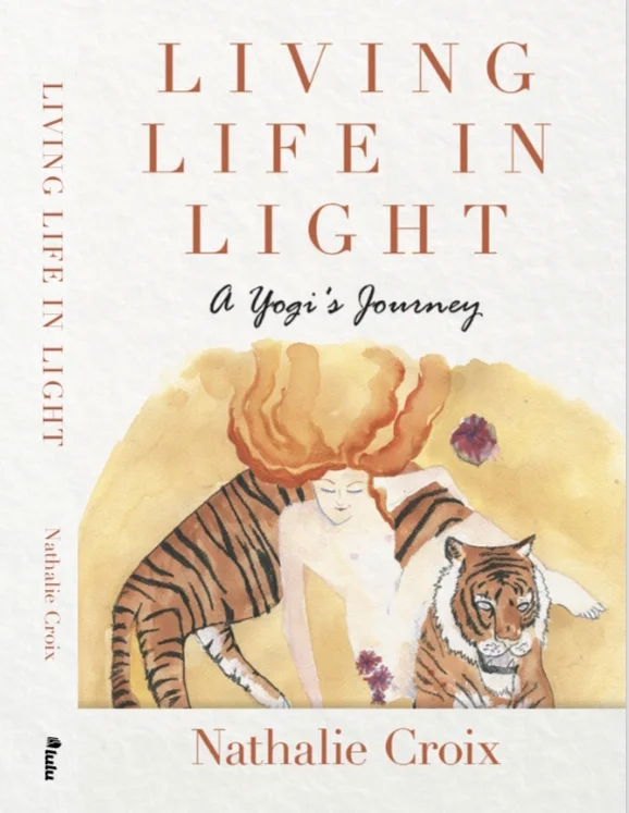book-cover-preorder.jpg