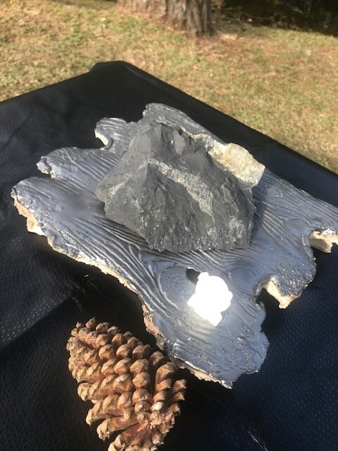 AMORE Shungite + LIGHT CODE Agate Owl
