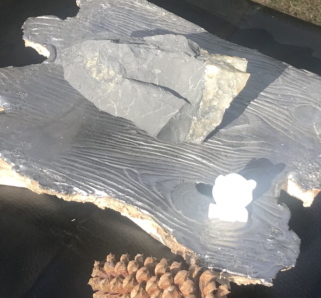 SKYLER Shungite + LIGHT CODE Owl
