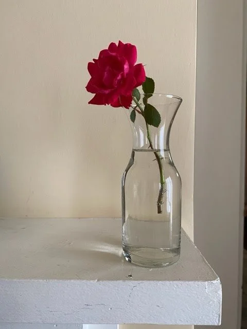 rose-collina.JPG