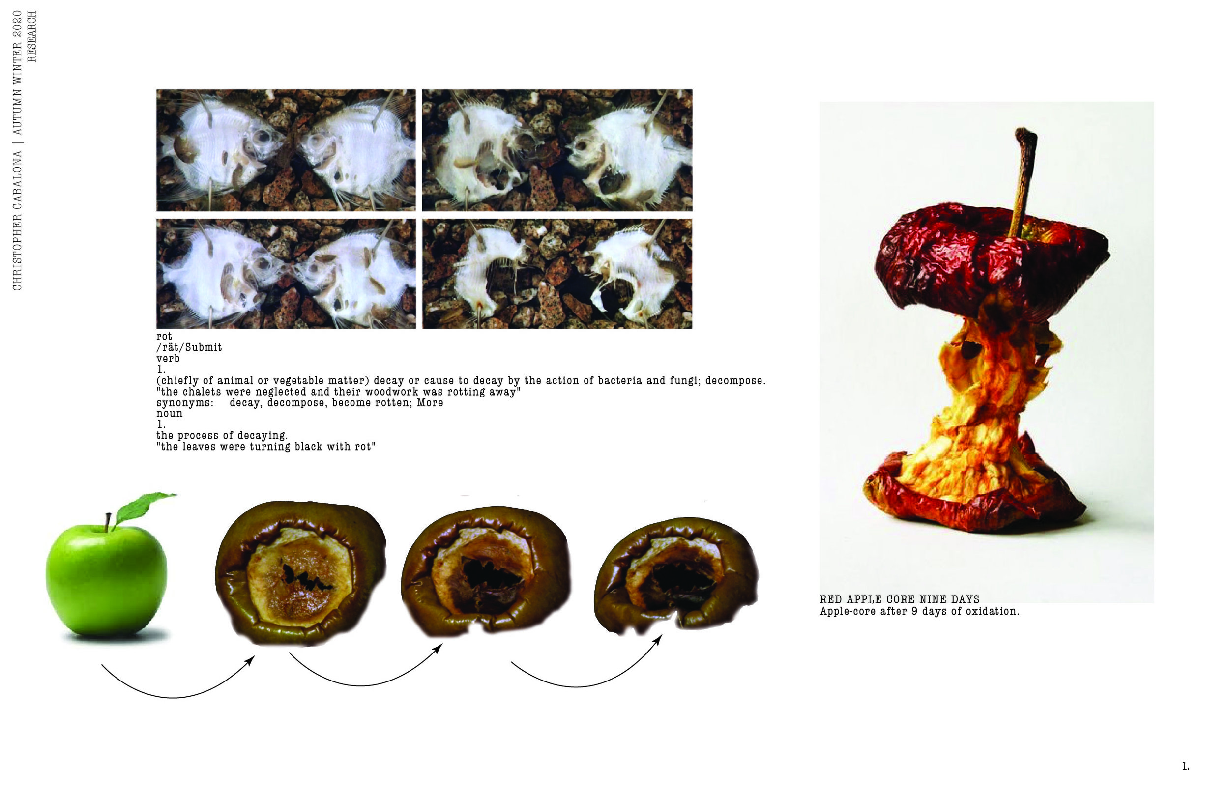 ROT Collection - SCANNED_Research.jpg