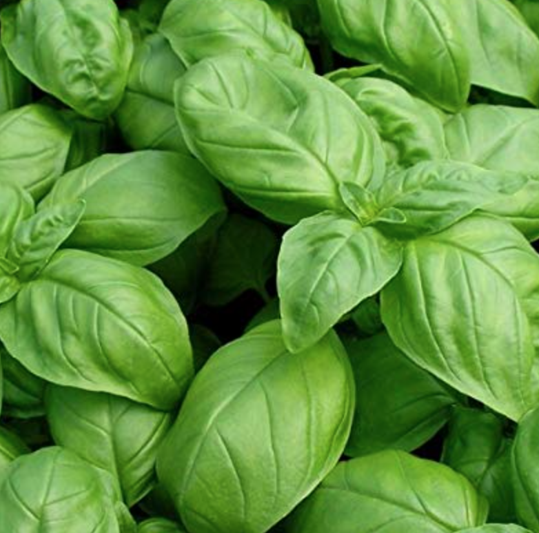 BasilIngredient.png