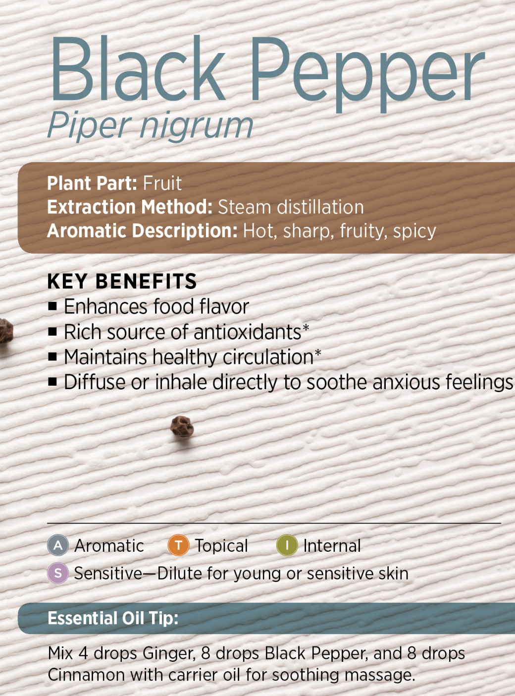 BlackPepperPresentation.png
