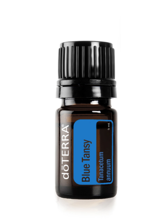 BlueTansy.png