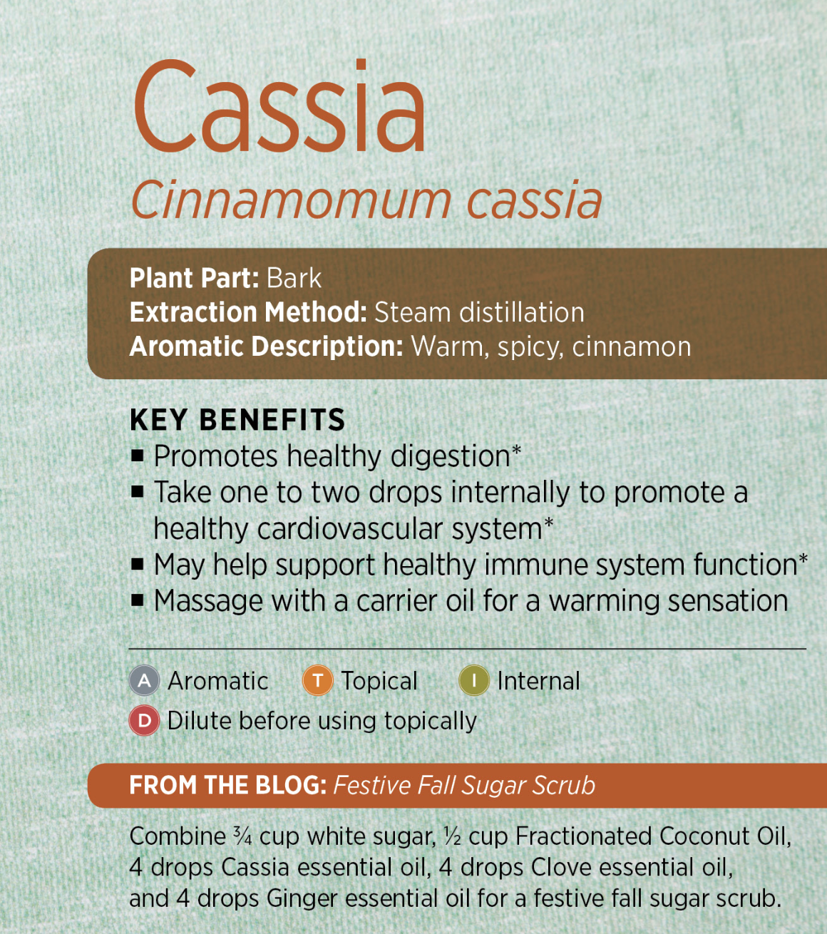 CassiaPresentation.png