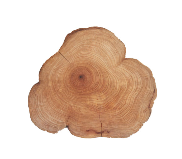 CedarwoodIngredient.png