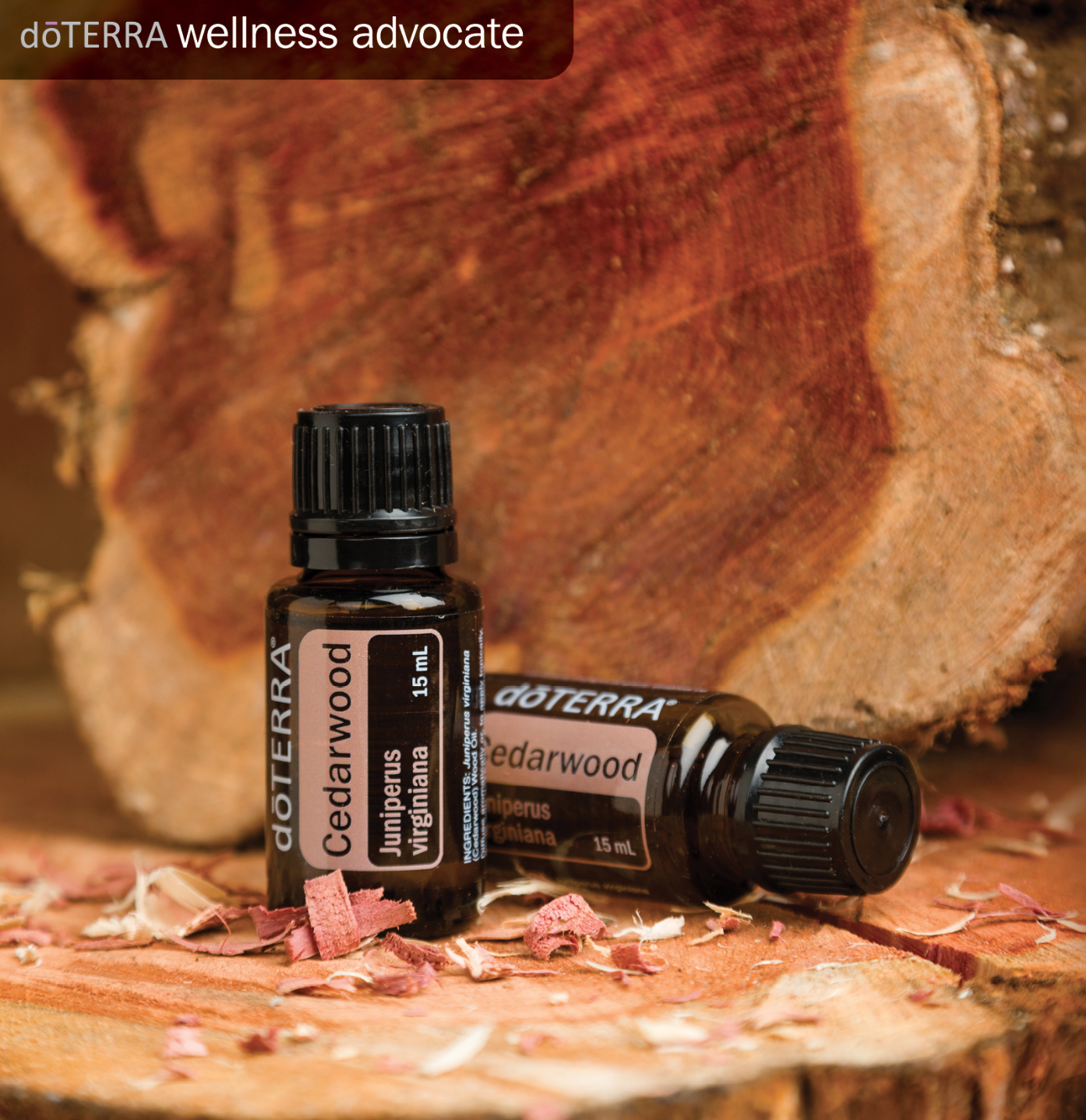 CedarwoodPresentation1.png