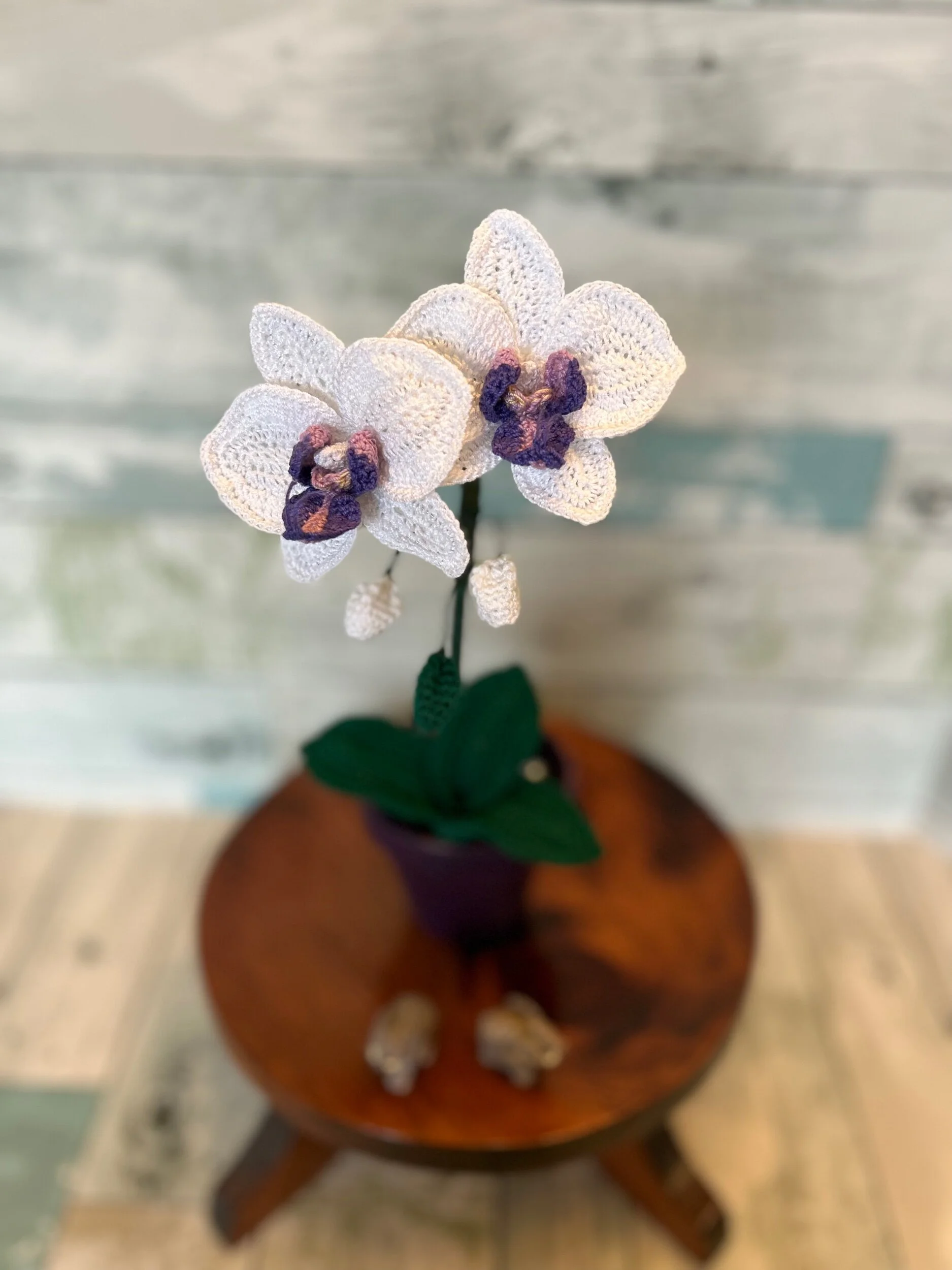 5D7AE1B6-48F7-4369-AA6D-DB0273F4D254